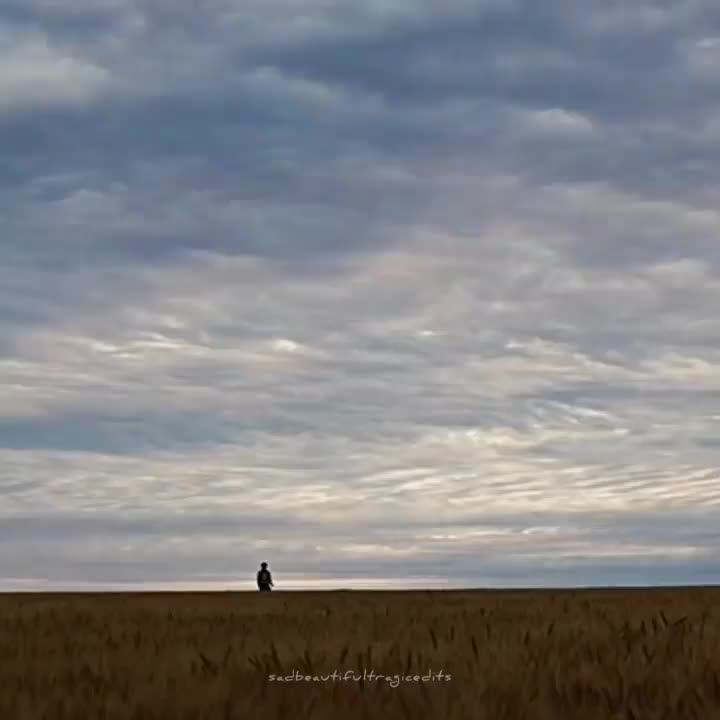 @yēS 81🧠