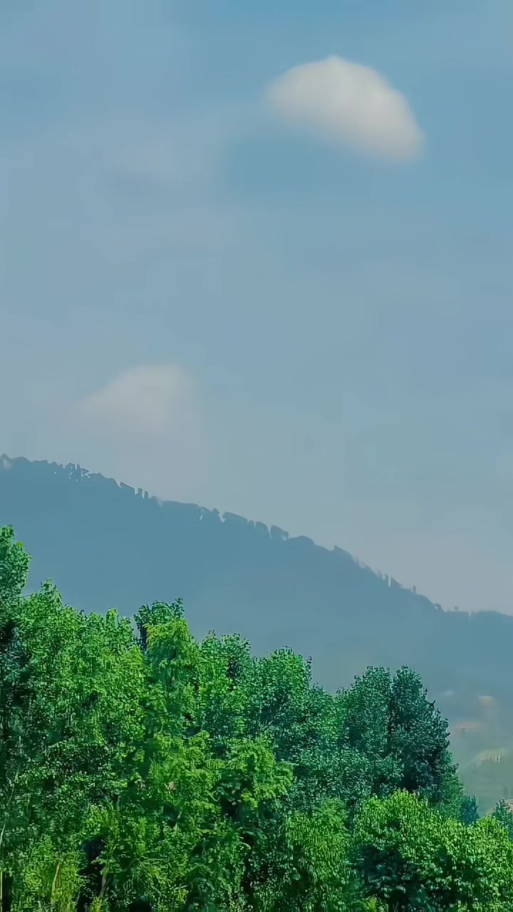 @𝗗𝗶𝗺𝗽𝗹𝗲 𝗯𝗼𝘆 💙