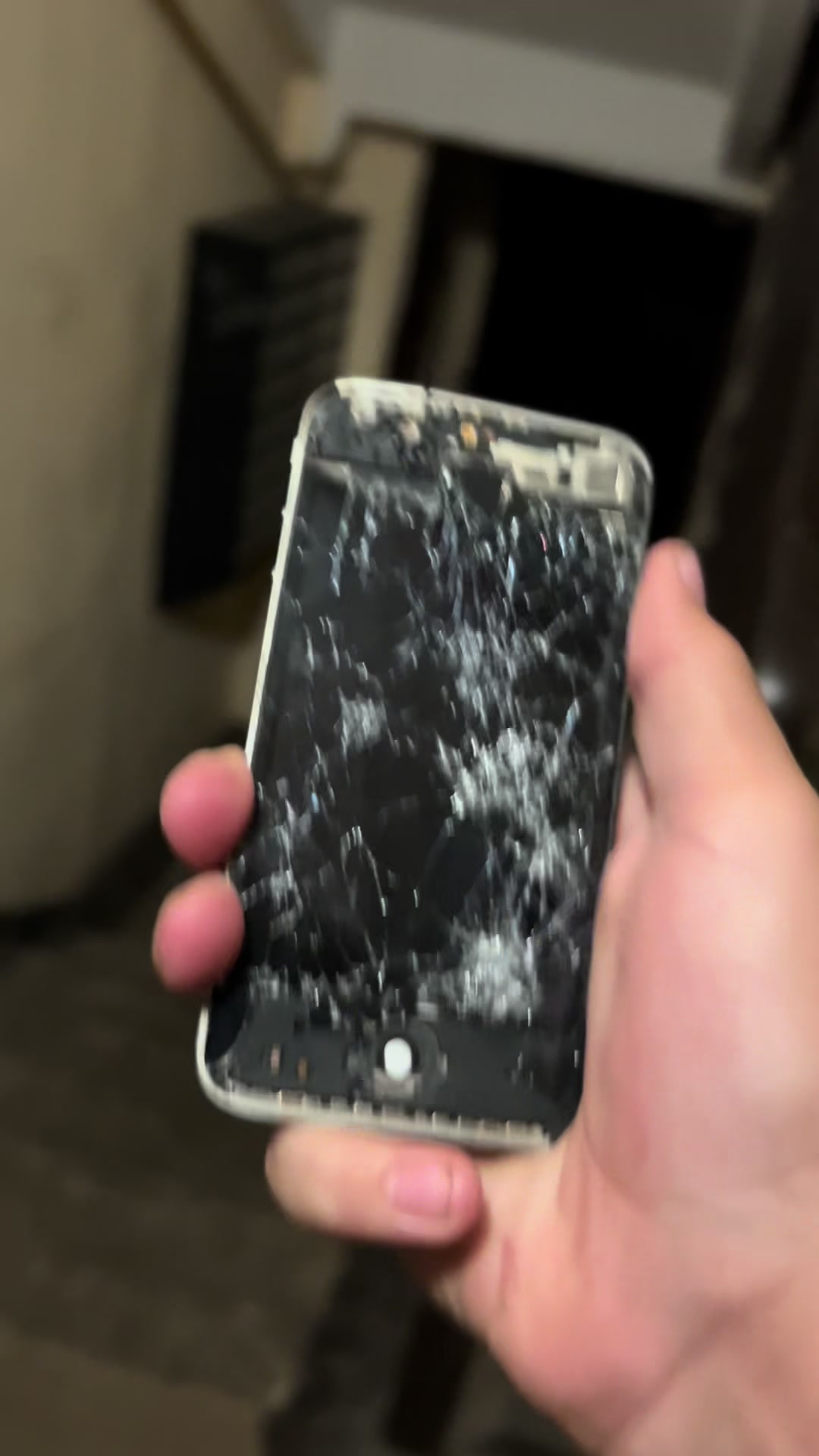 @TEAM APPLE