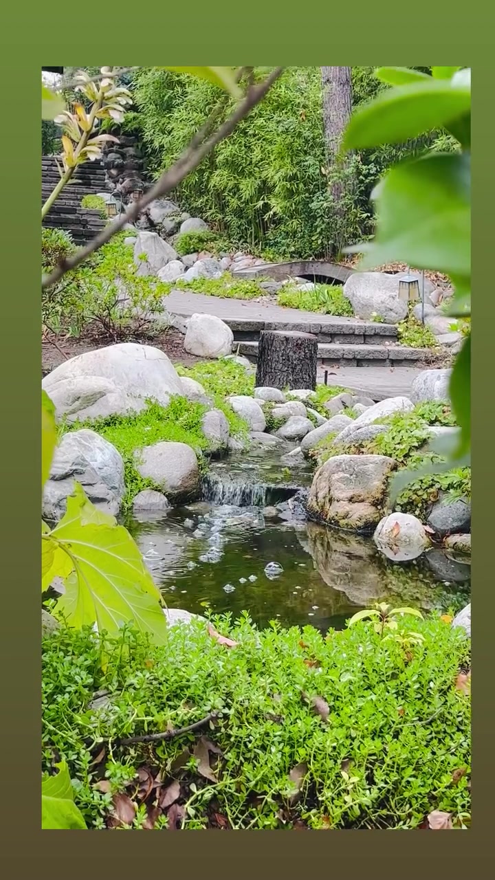 @The Lost Gardens