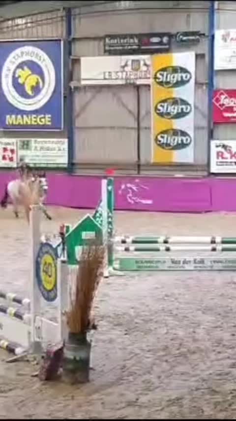 @allroundxgroep🩷🐴