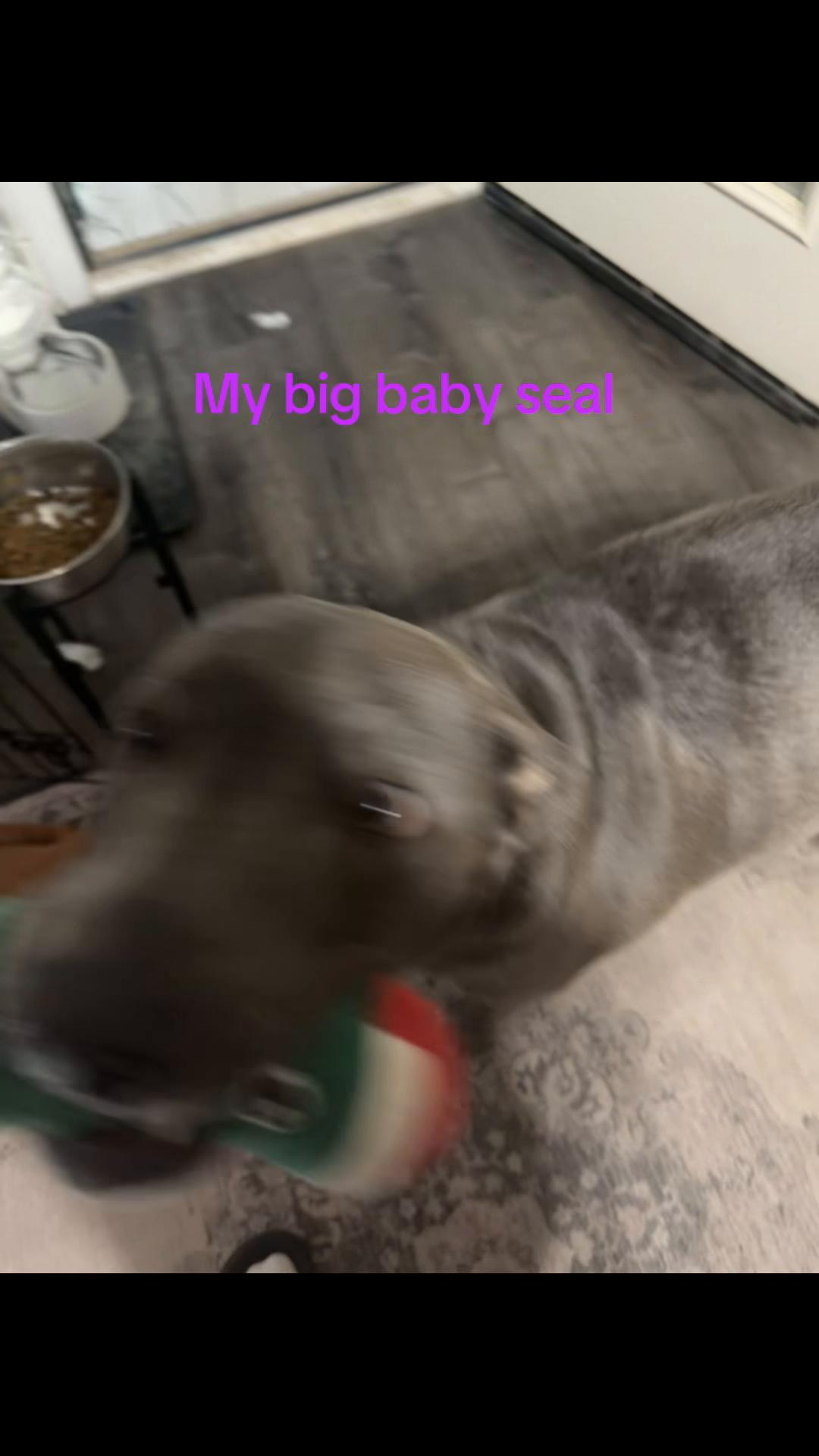 @Claudia Ann