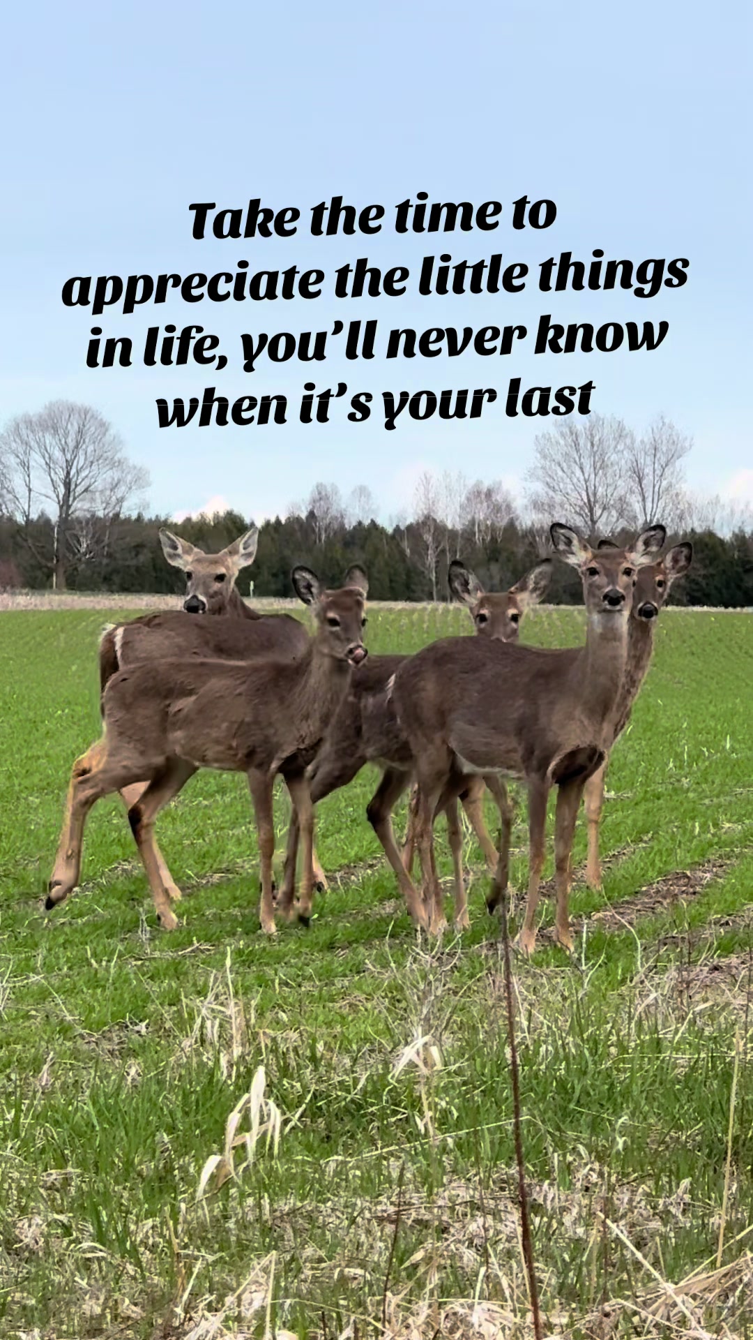 @Jay