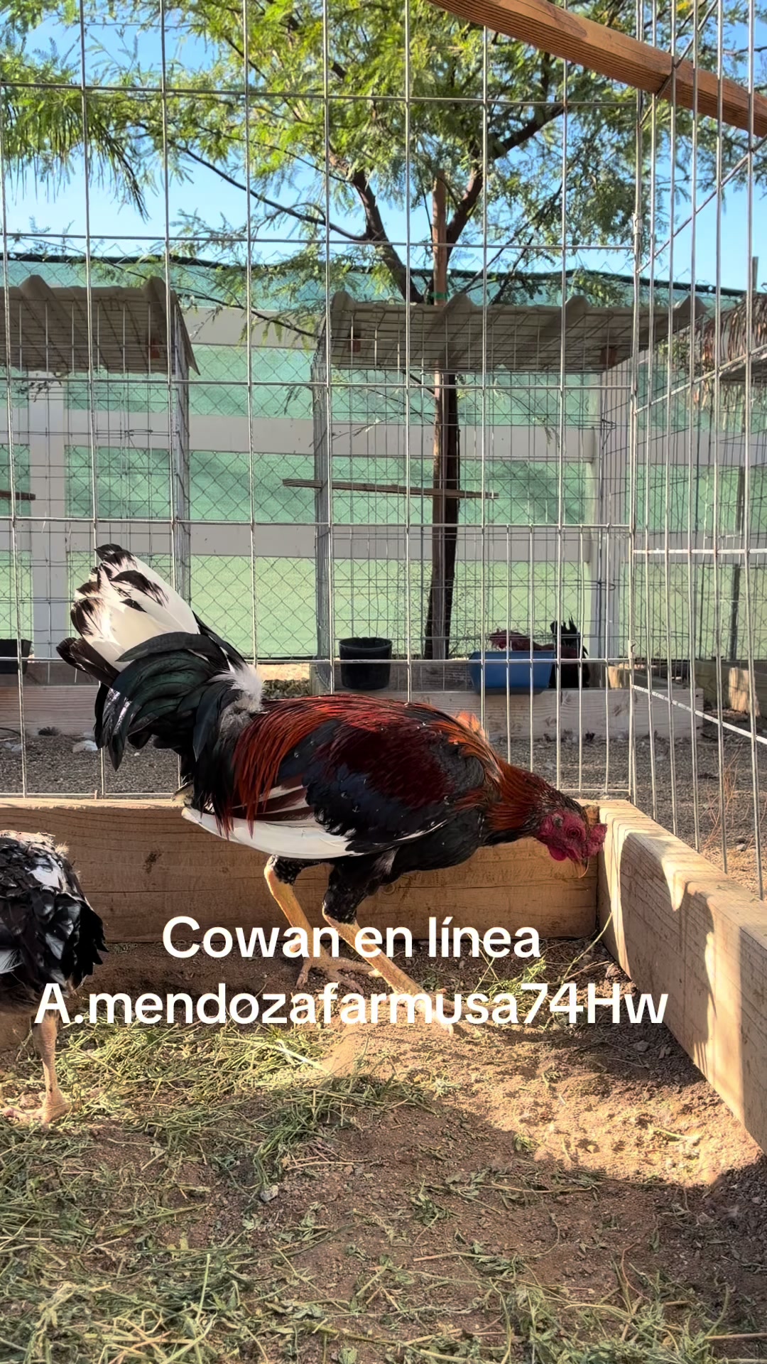 @A.MENDOZA.FARM.USA 74HWY