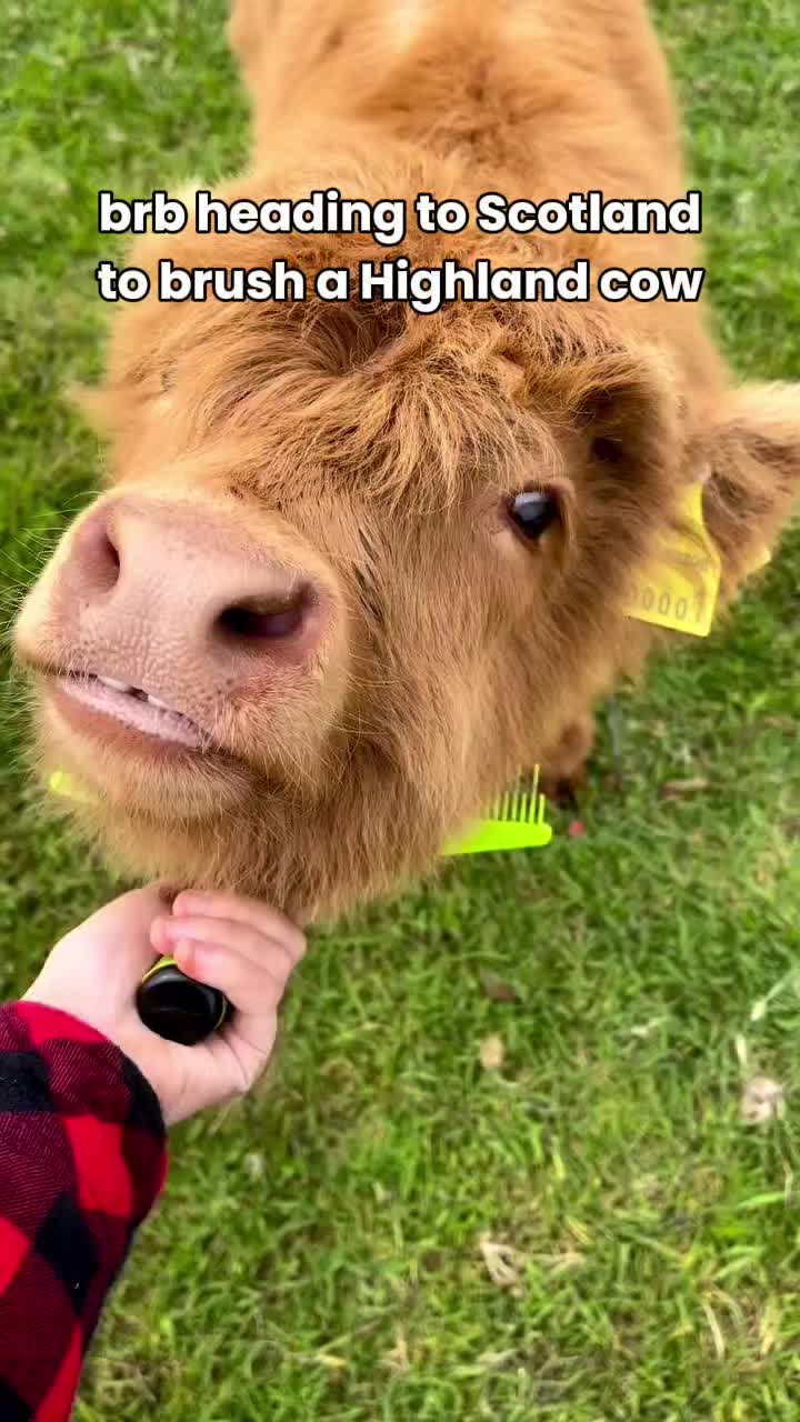 @VisitScotland