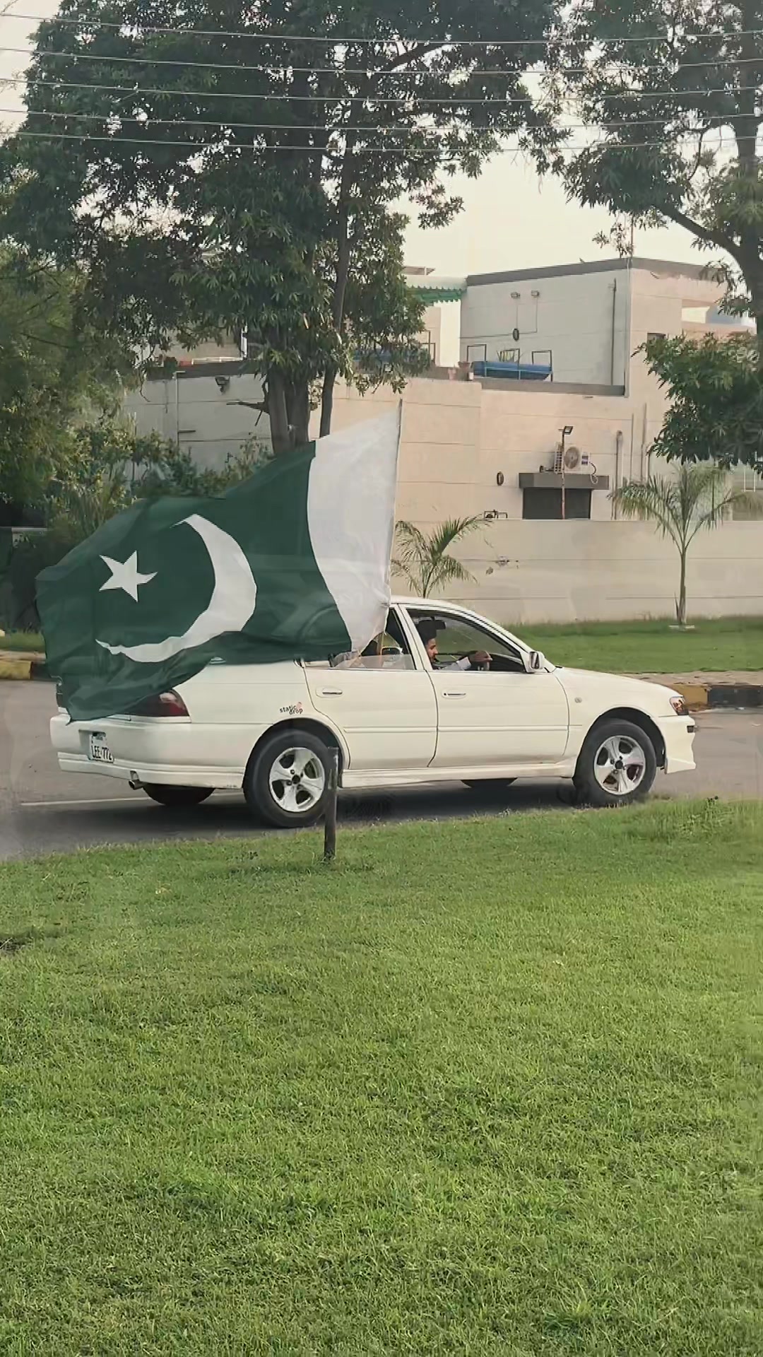 @🦁⚜️SYED TAYYAB SHAH ⚜️🦁