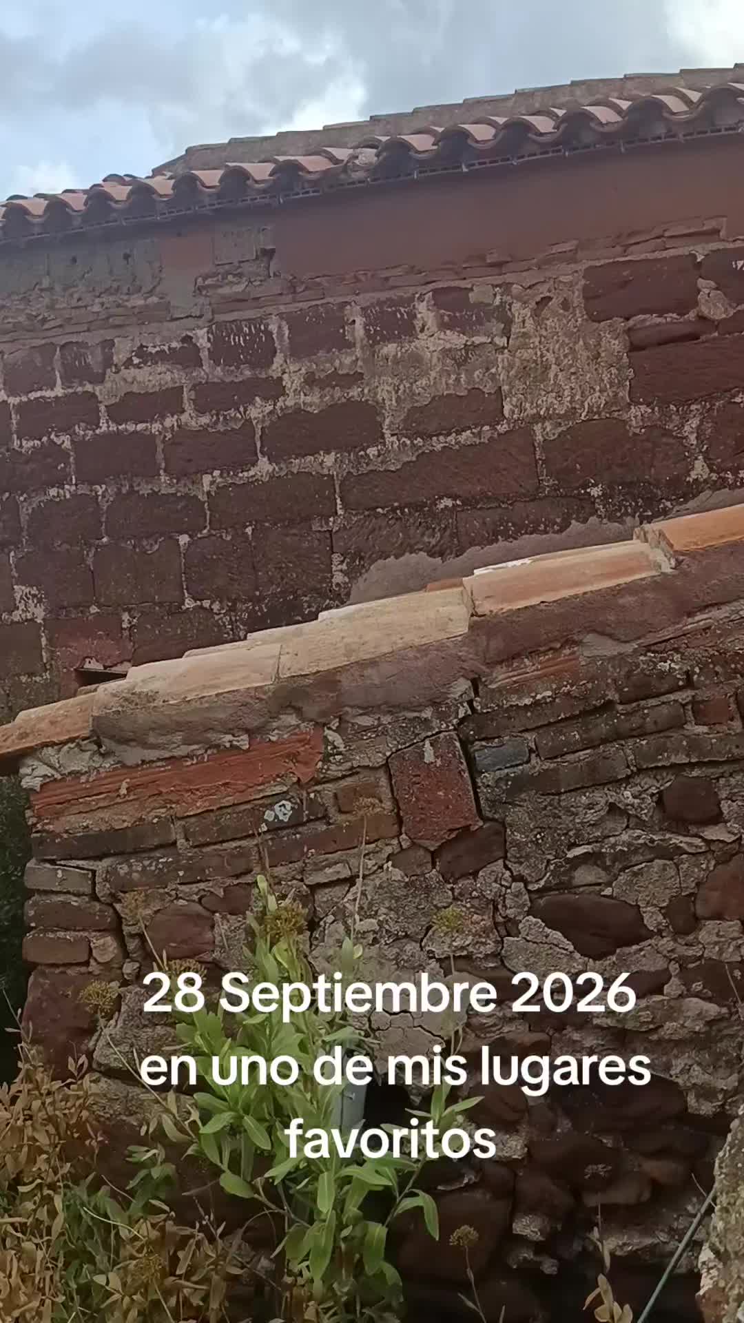 @avefenix