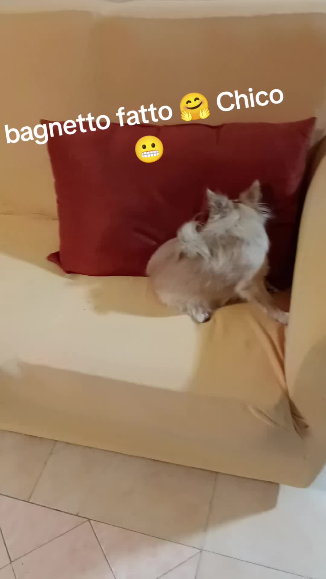 @ELE..meglio folli che noiosi