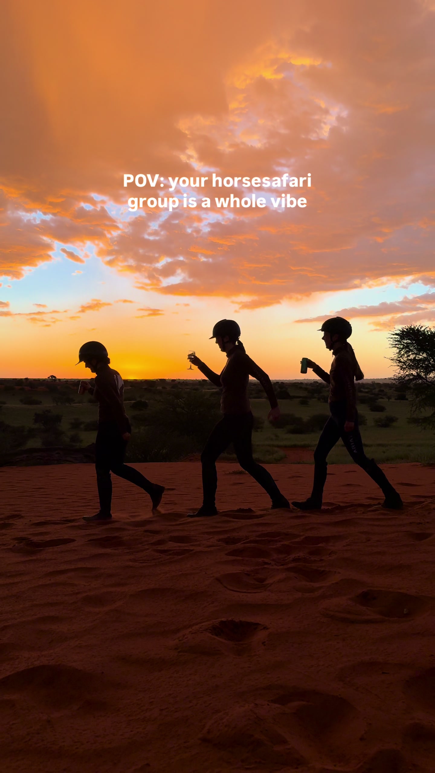 @Hoof & Travel 🐴🌍🐘