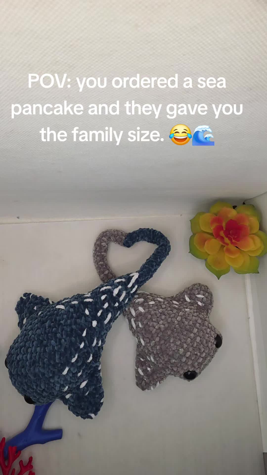 @Amber Mitchell