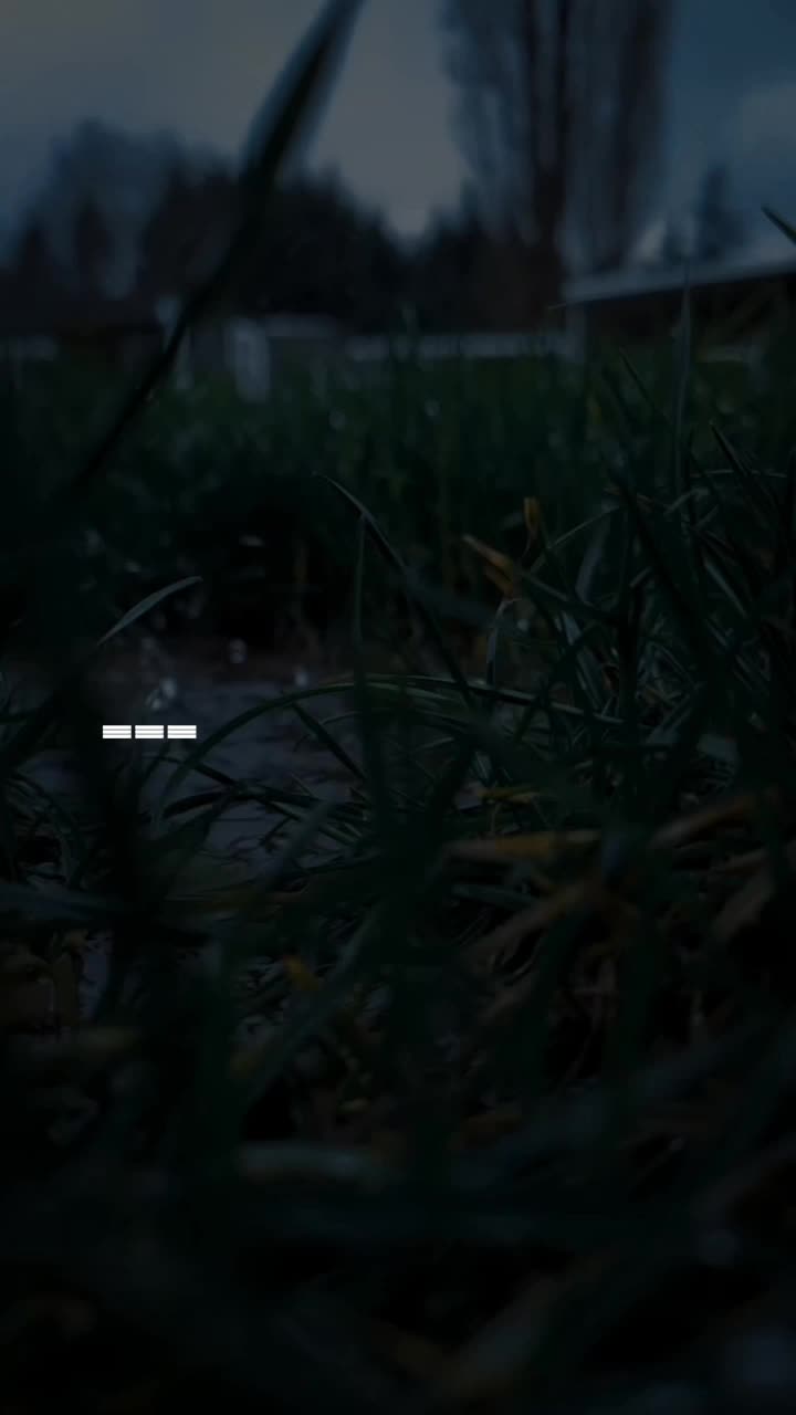 @ever502.1