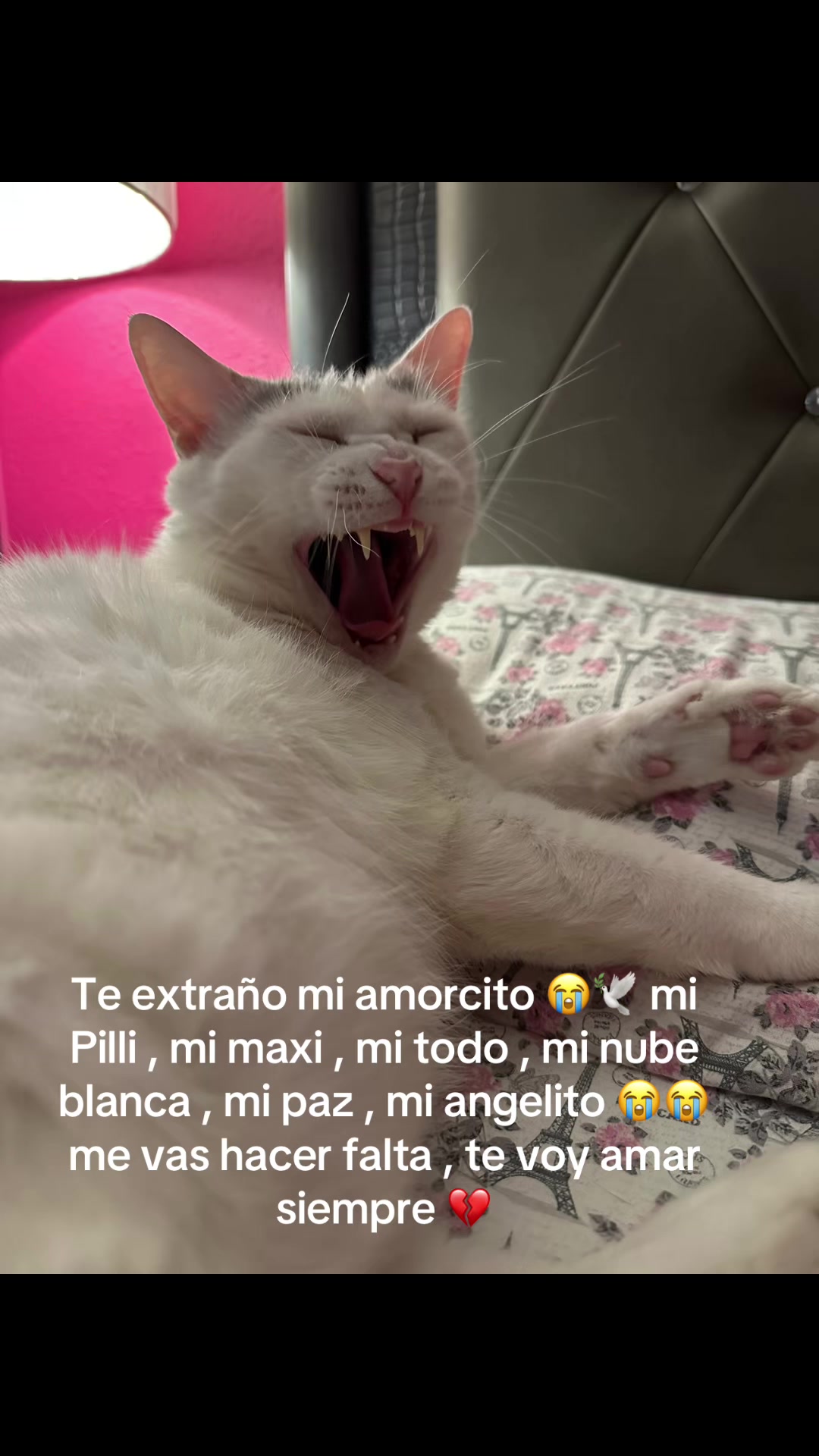 @💜🌸Madeir🌸💜