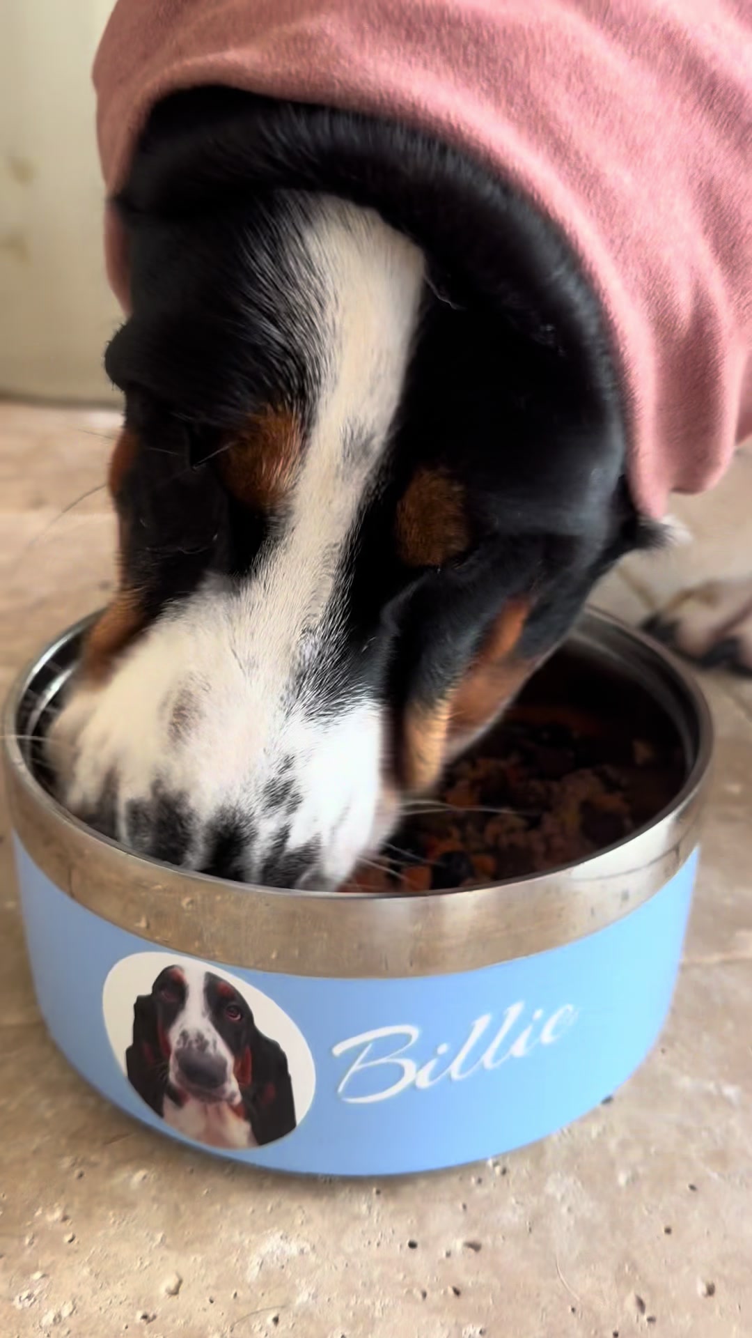 @🐾BillieBasset🐾