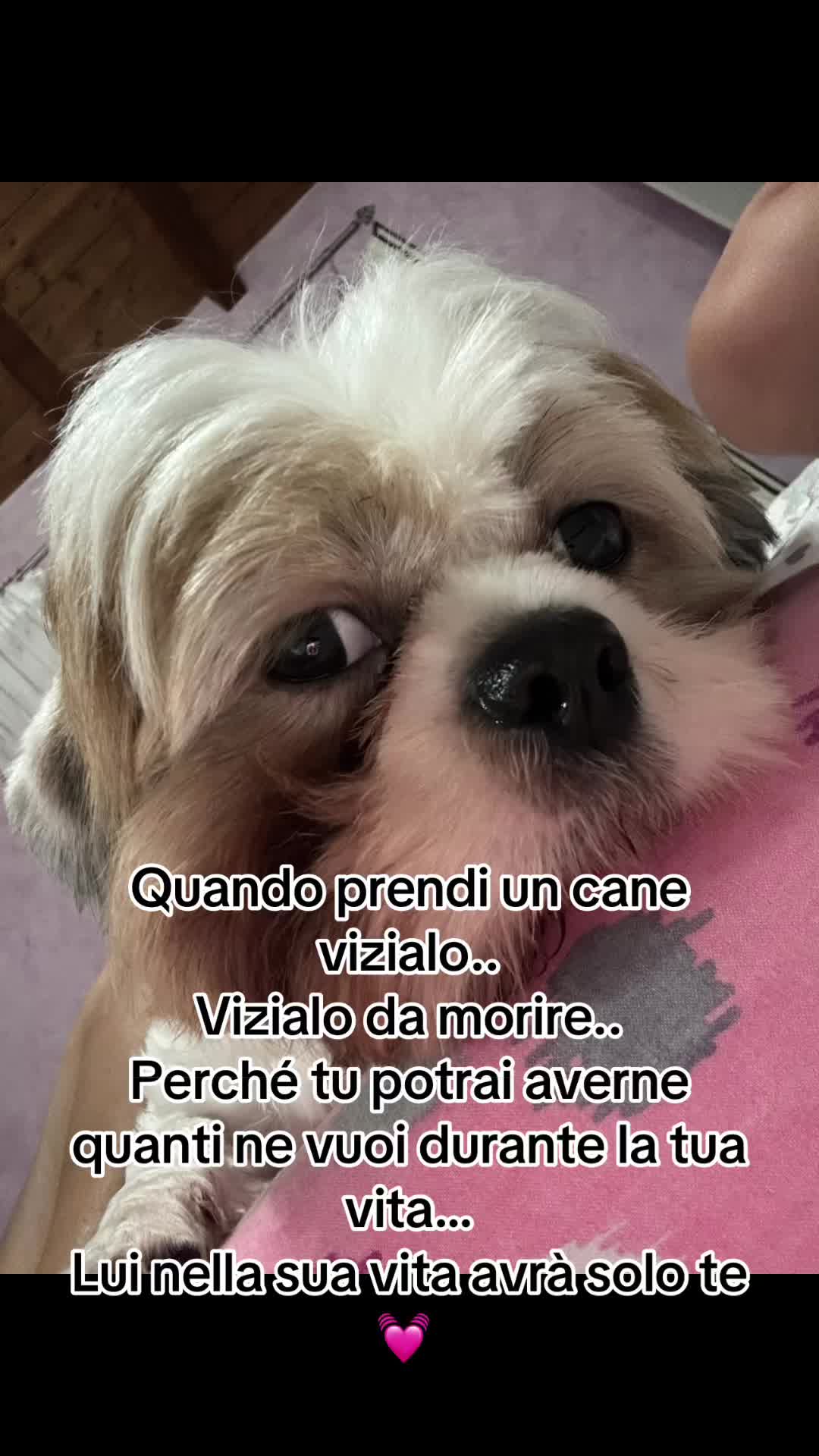 @♥️ FedeGinniOri♥️