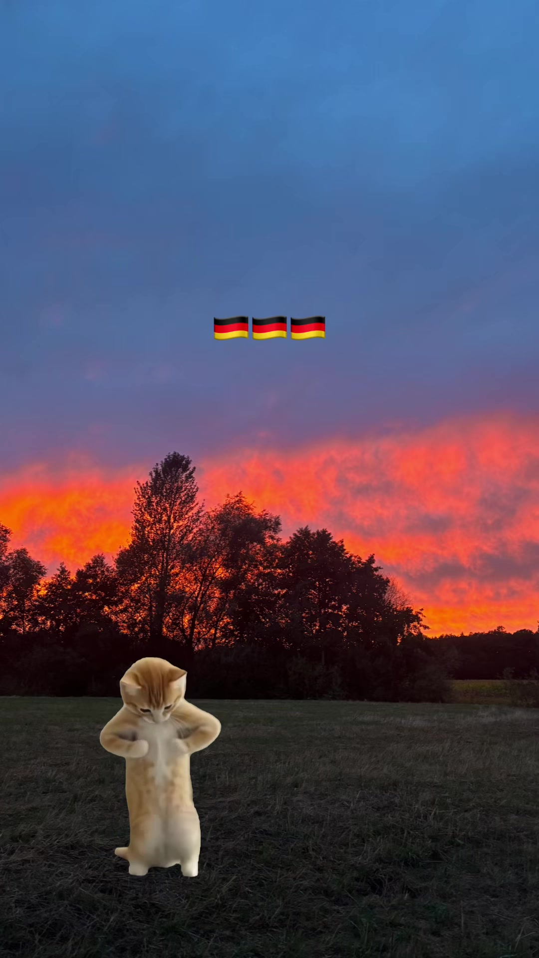 @🇩🇪🦅