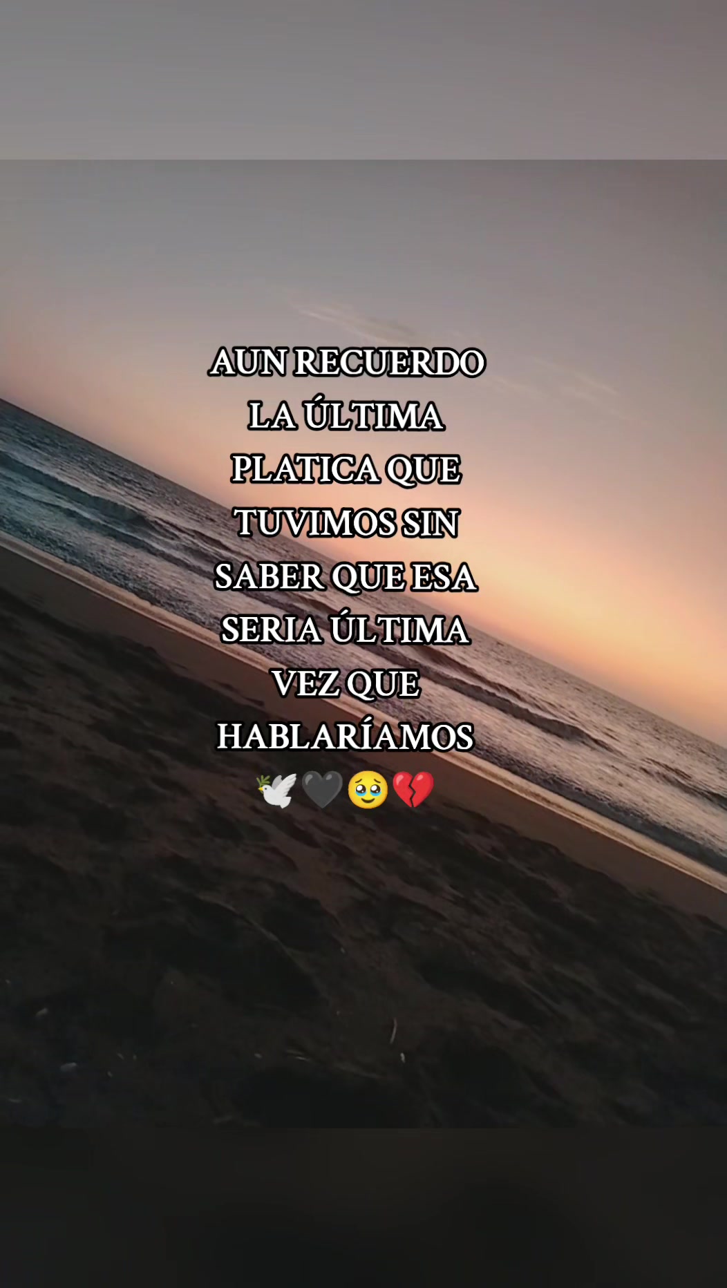 @pedroaldahirjim40
