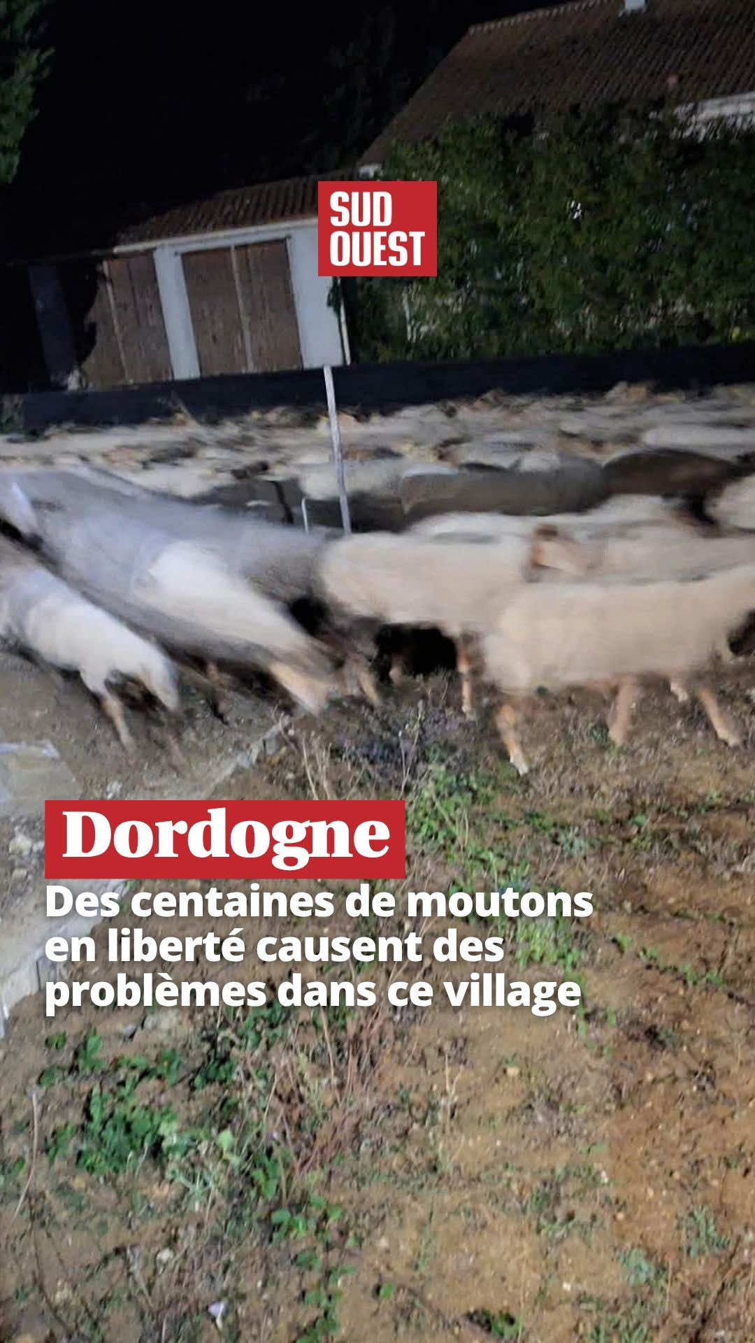 @Sud Ouest