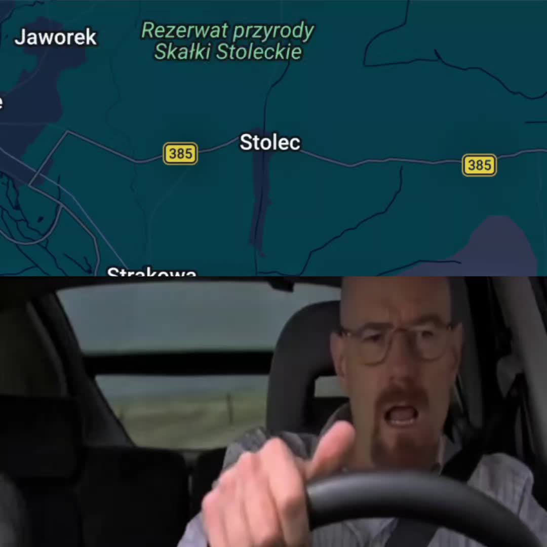 @salpingus