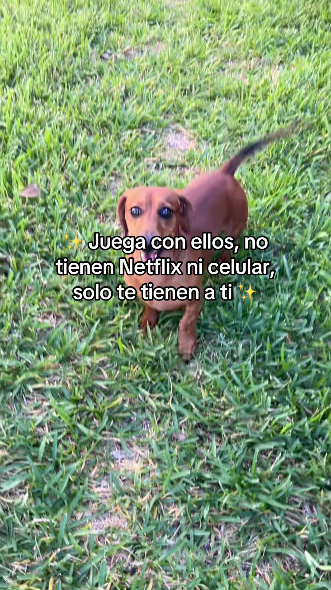 @Slinky Severus-Doo