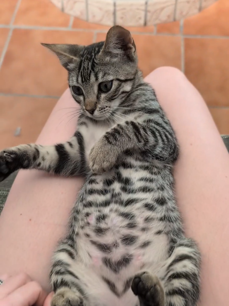 @Saritaa 🐬🐾