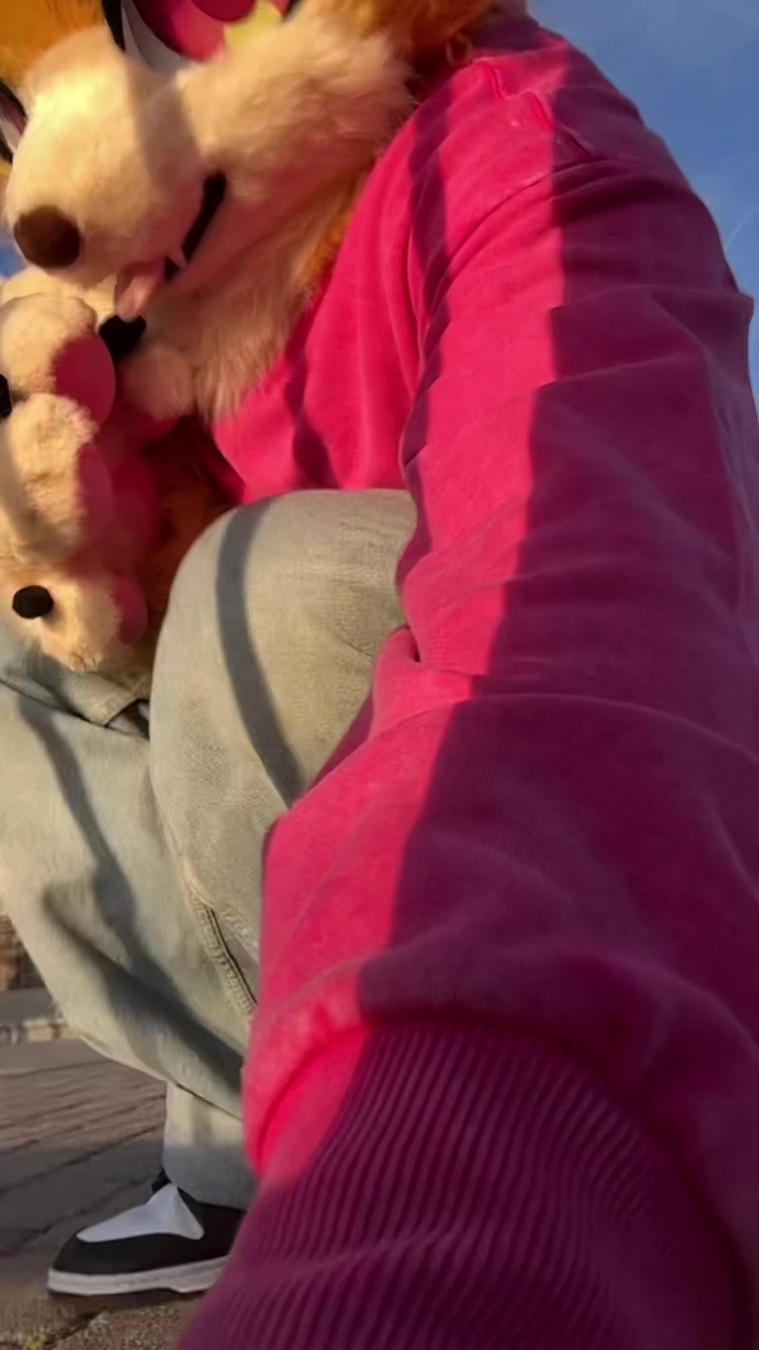 @Tenko🐾