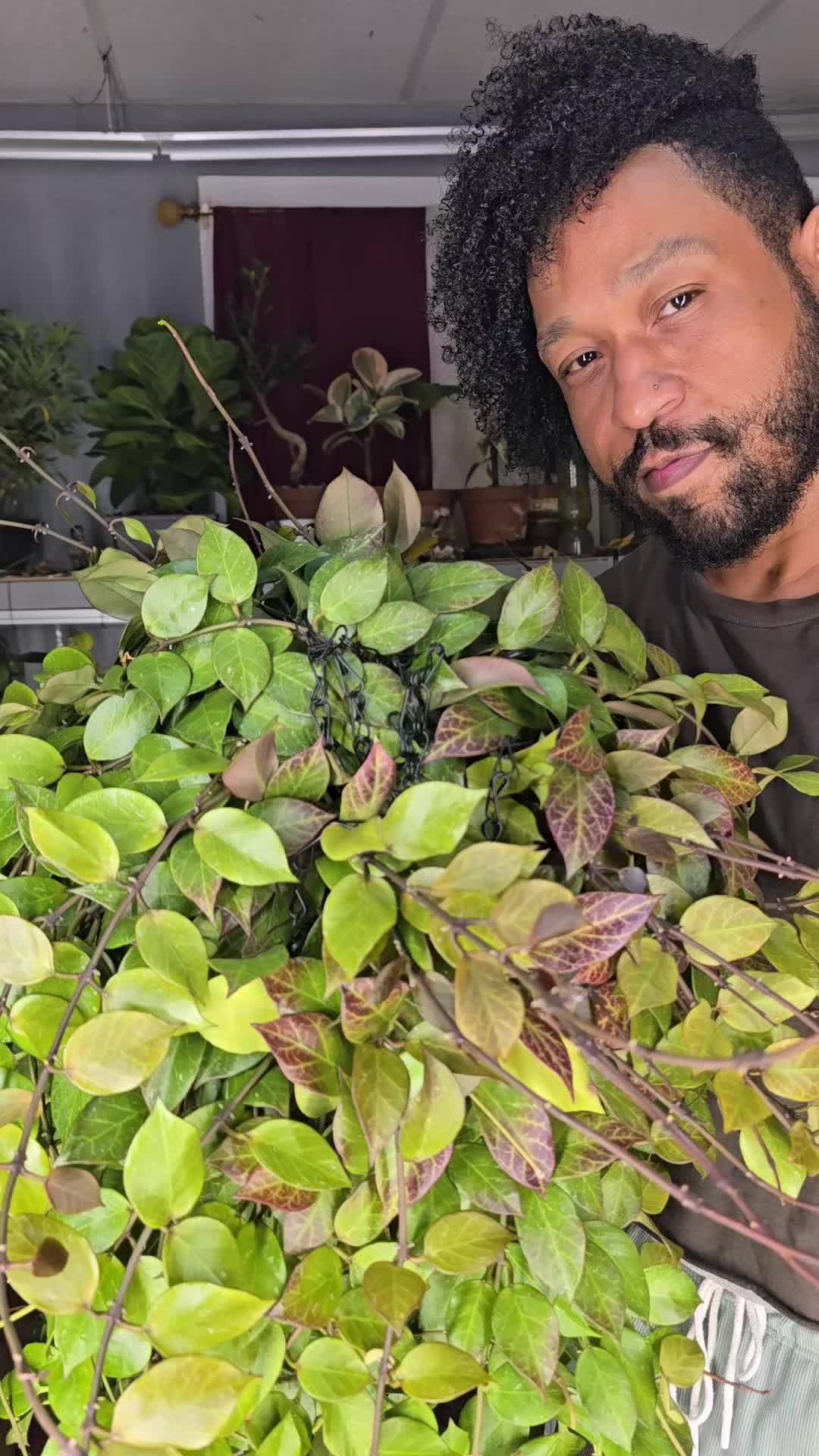 @JT - BigEGOPlants