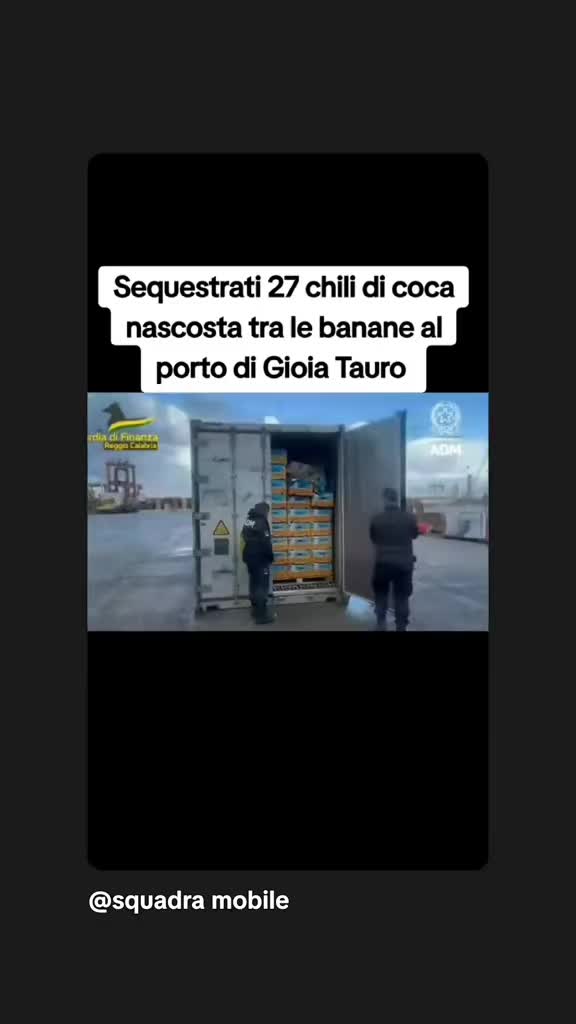 @squadra mobile