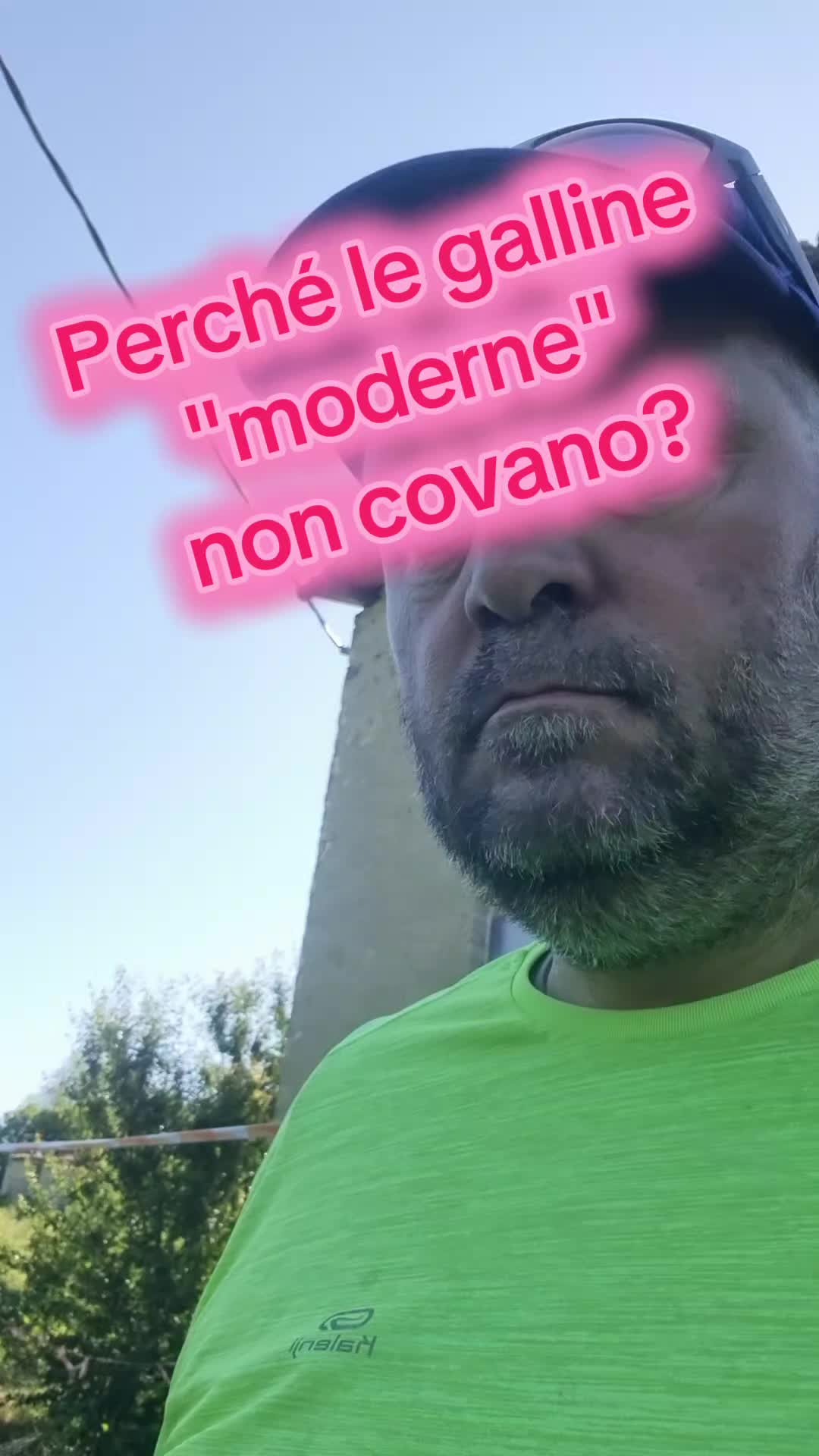 @Il leone e la gallina