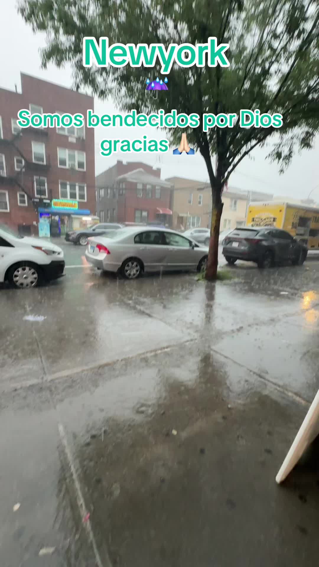 @Amada Galarza