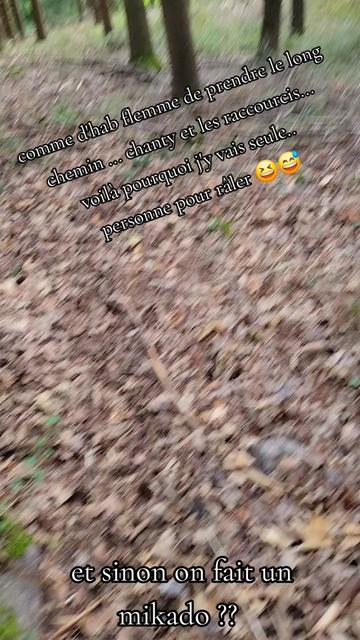 @Chanty🐺Liang🐺⚒️