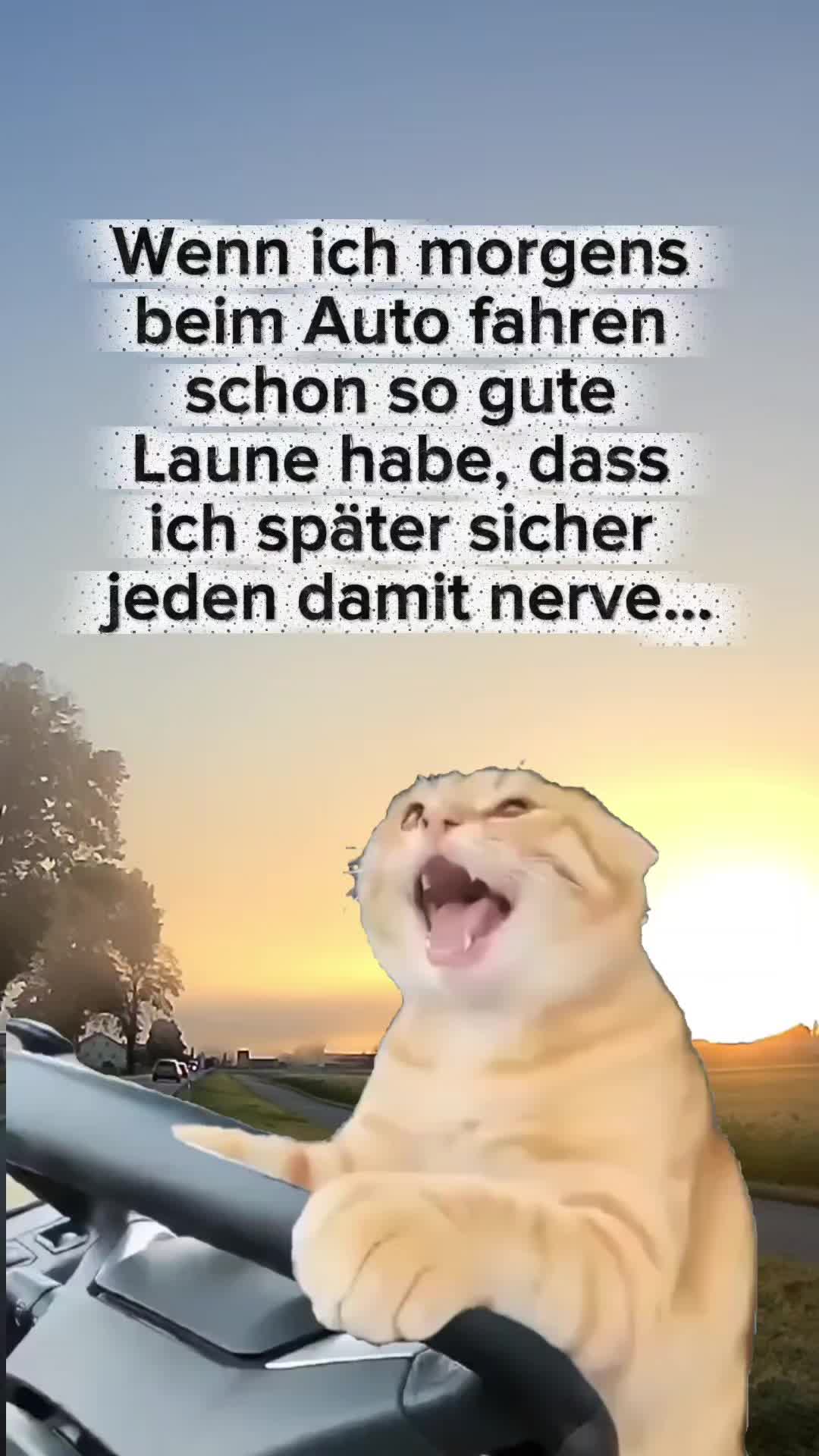 @storfine