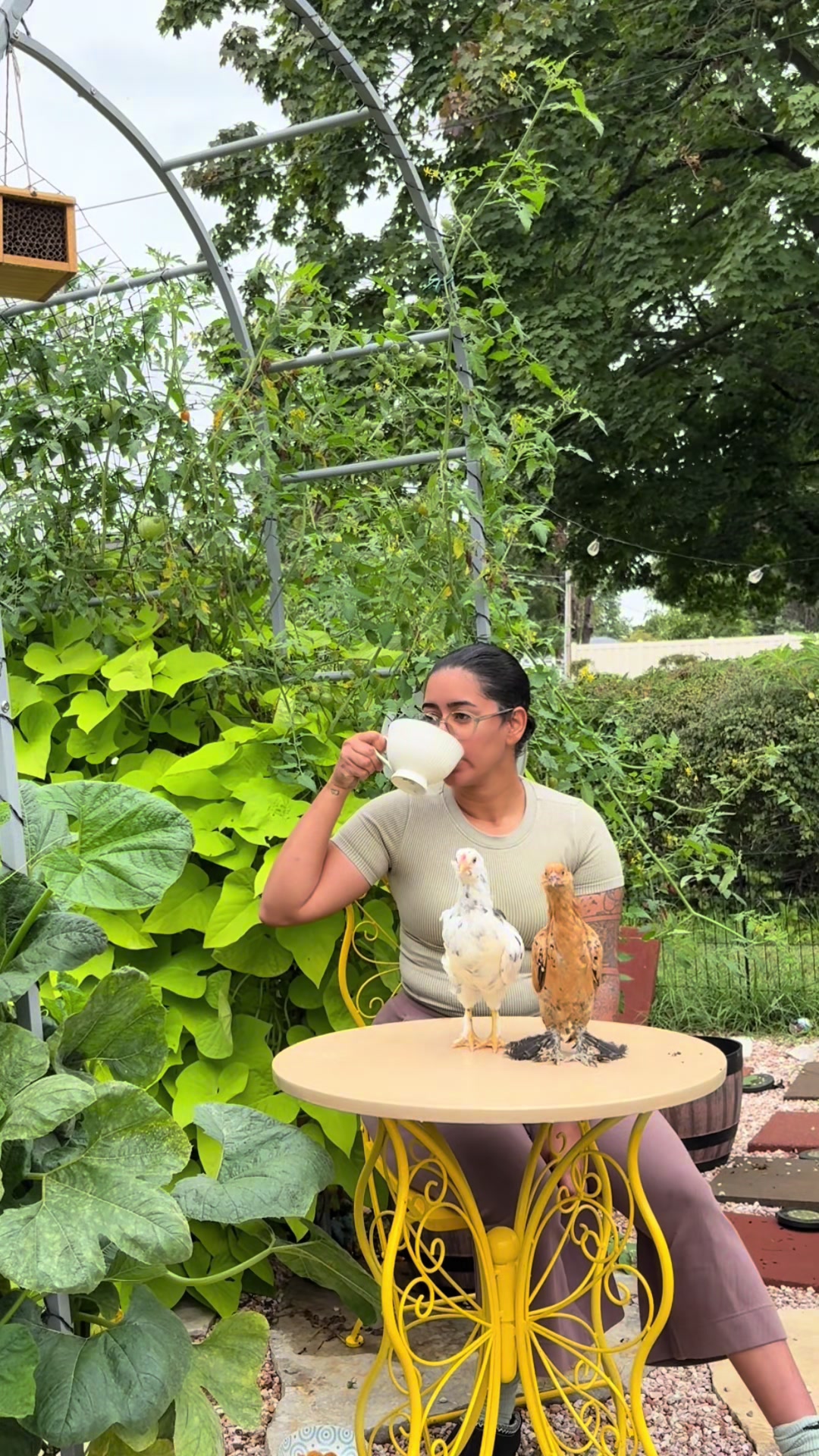 @Plantiiplants