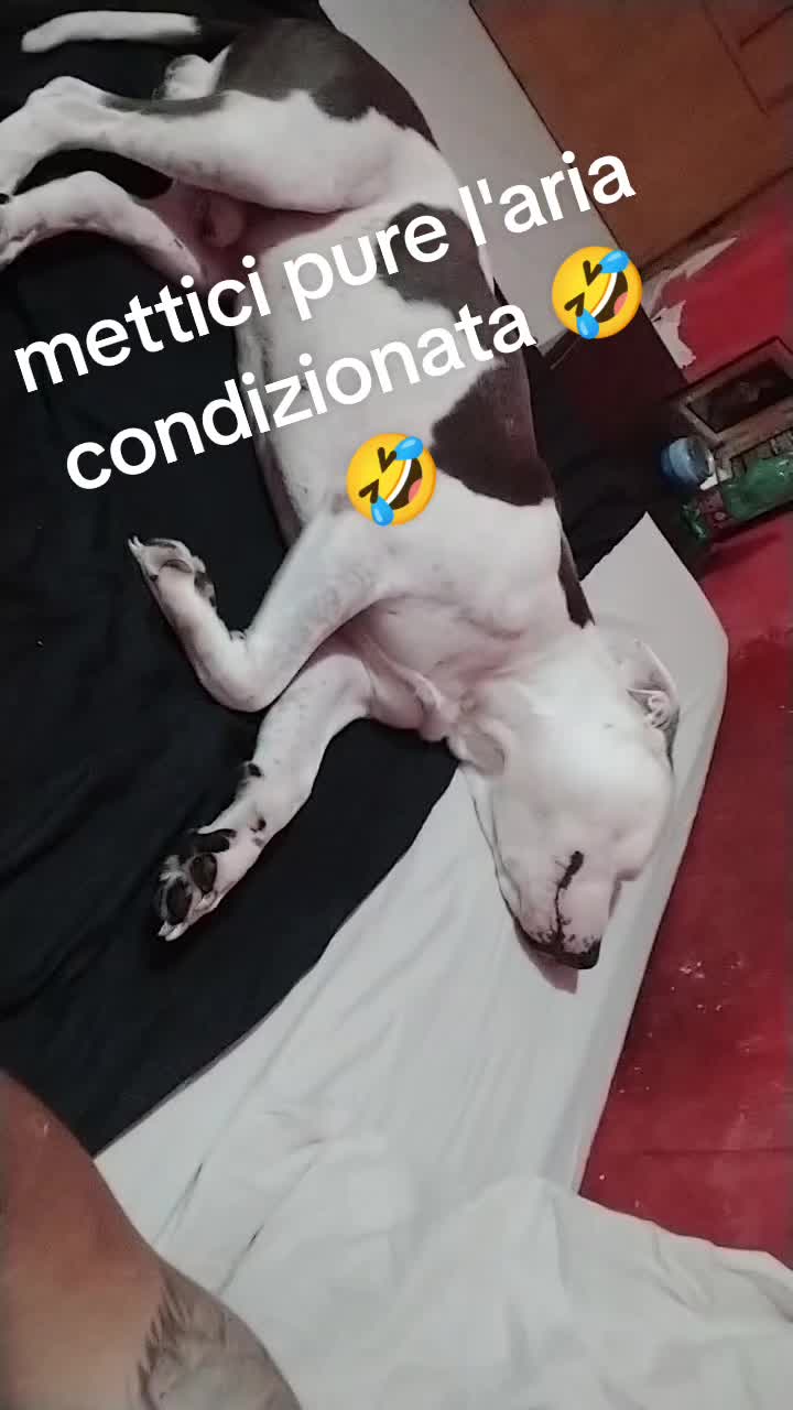 @Angelo romano