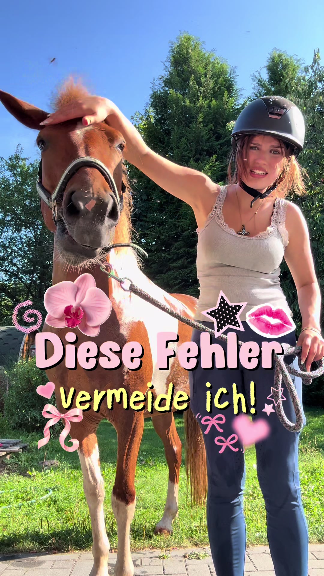 @Pferde Paradies