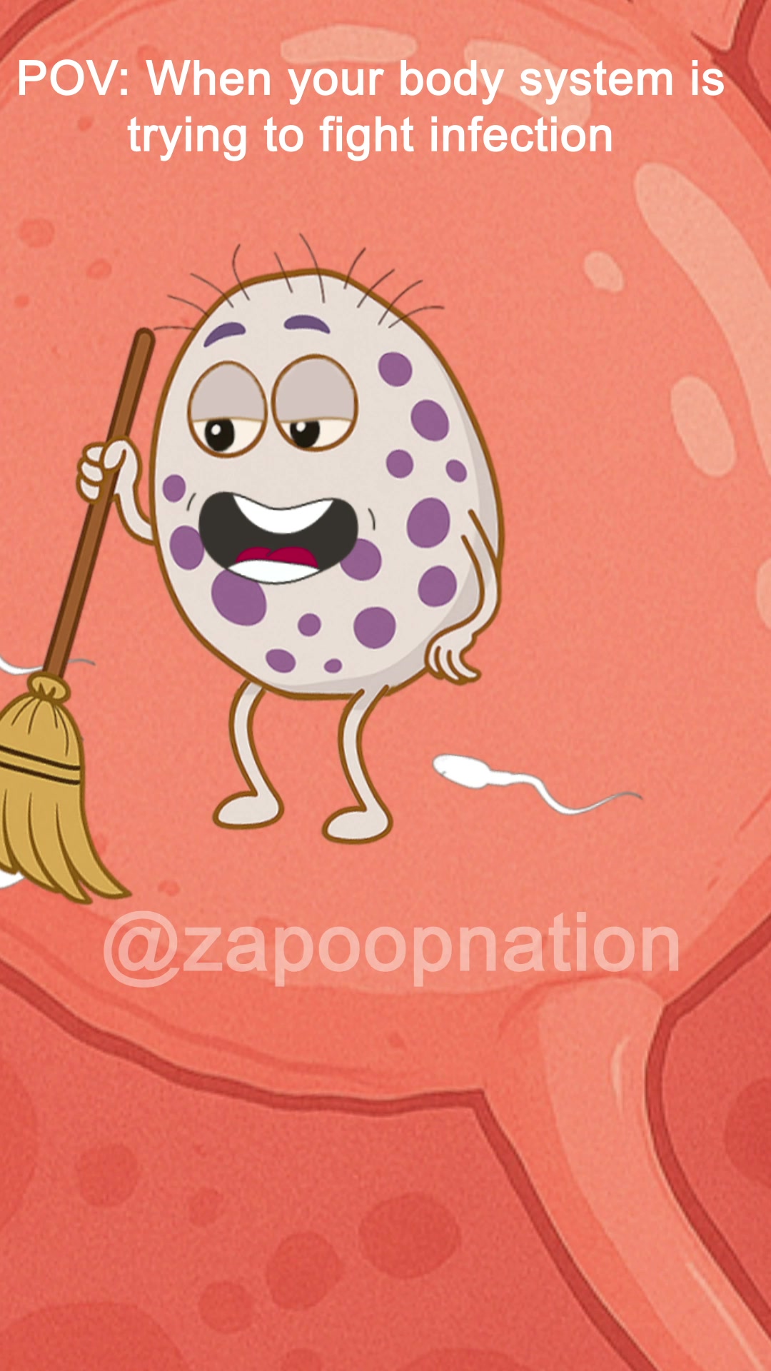 @zapoopnation_official