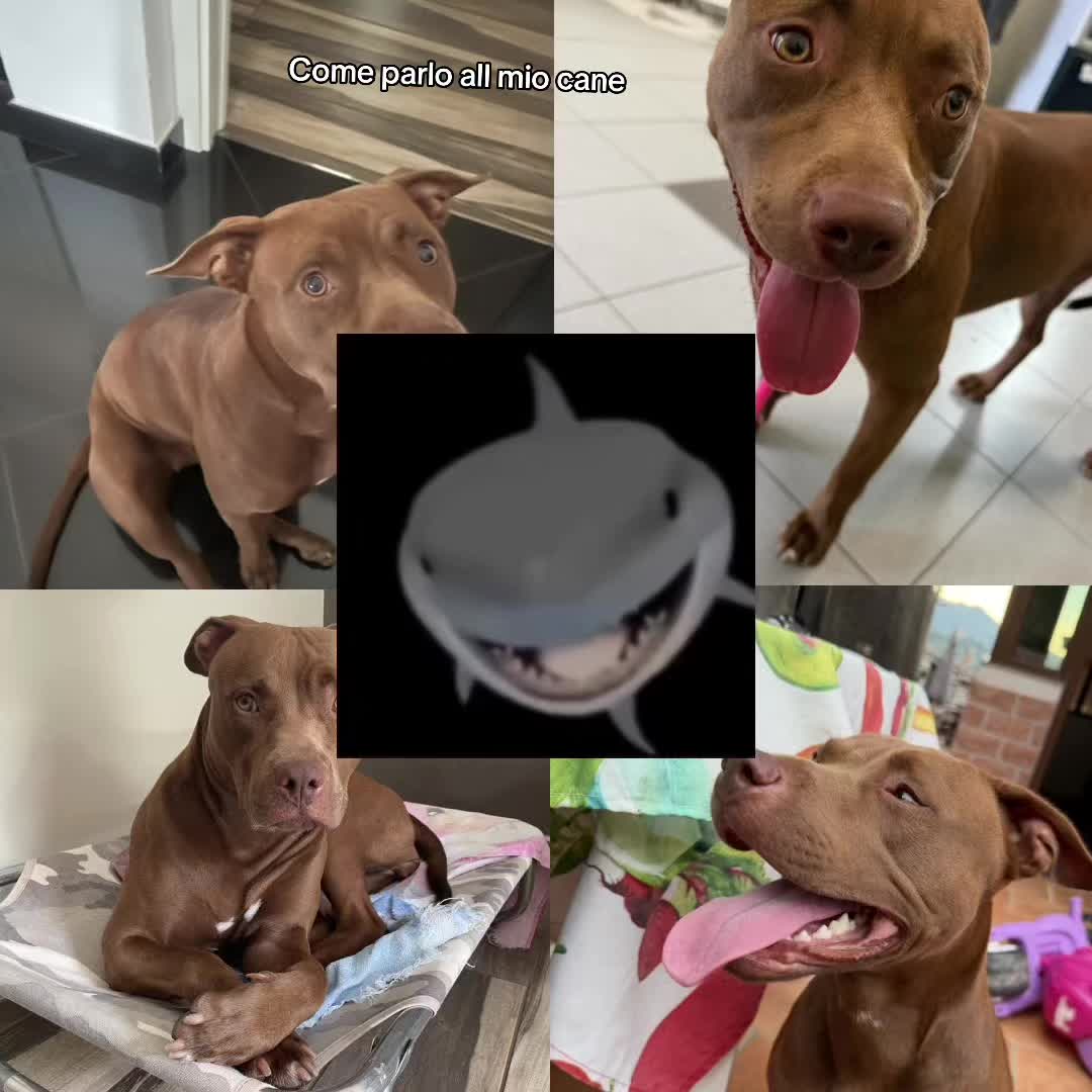 @EVA