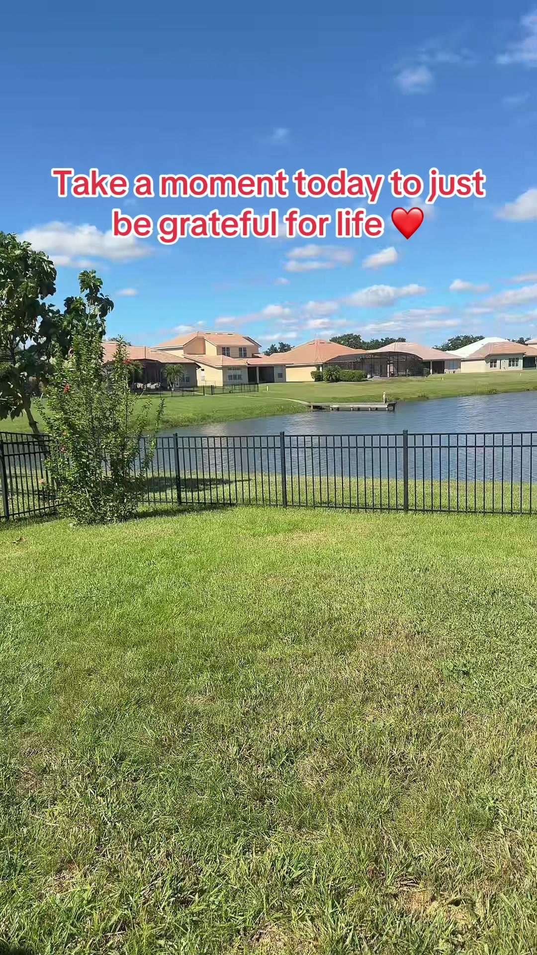 @Grandma Tania