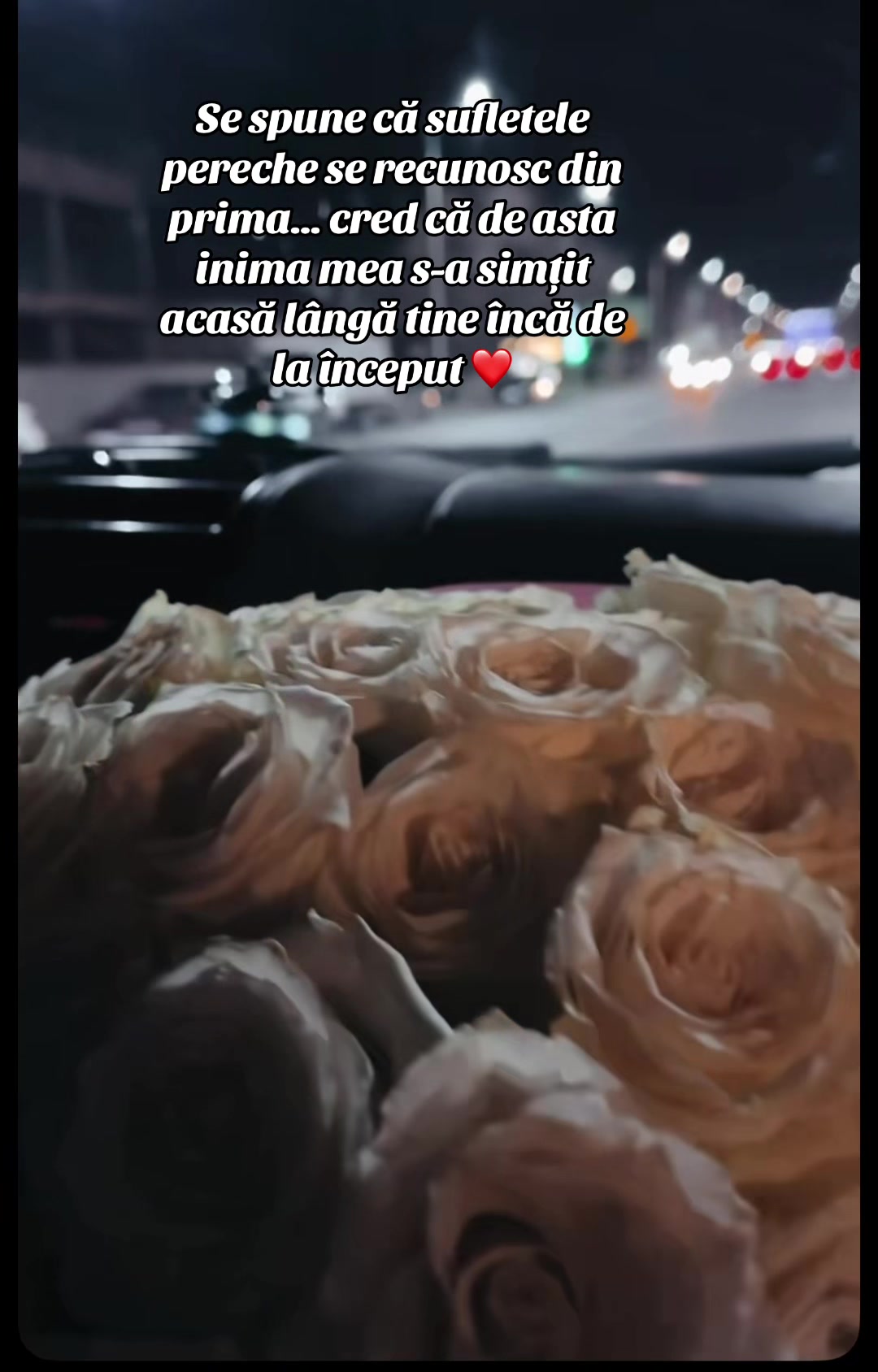 @Sofia Hristicenco