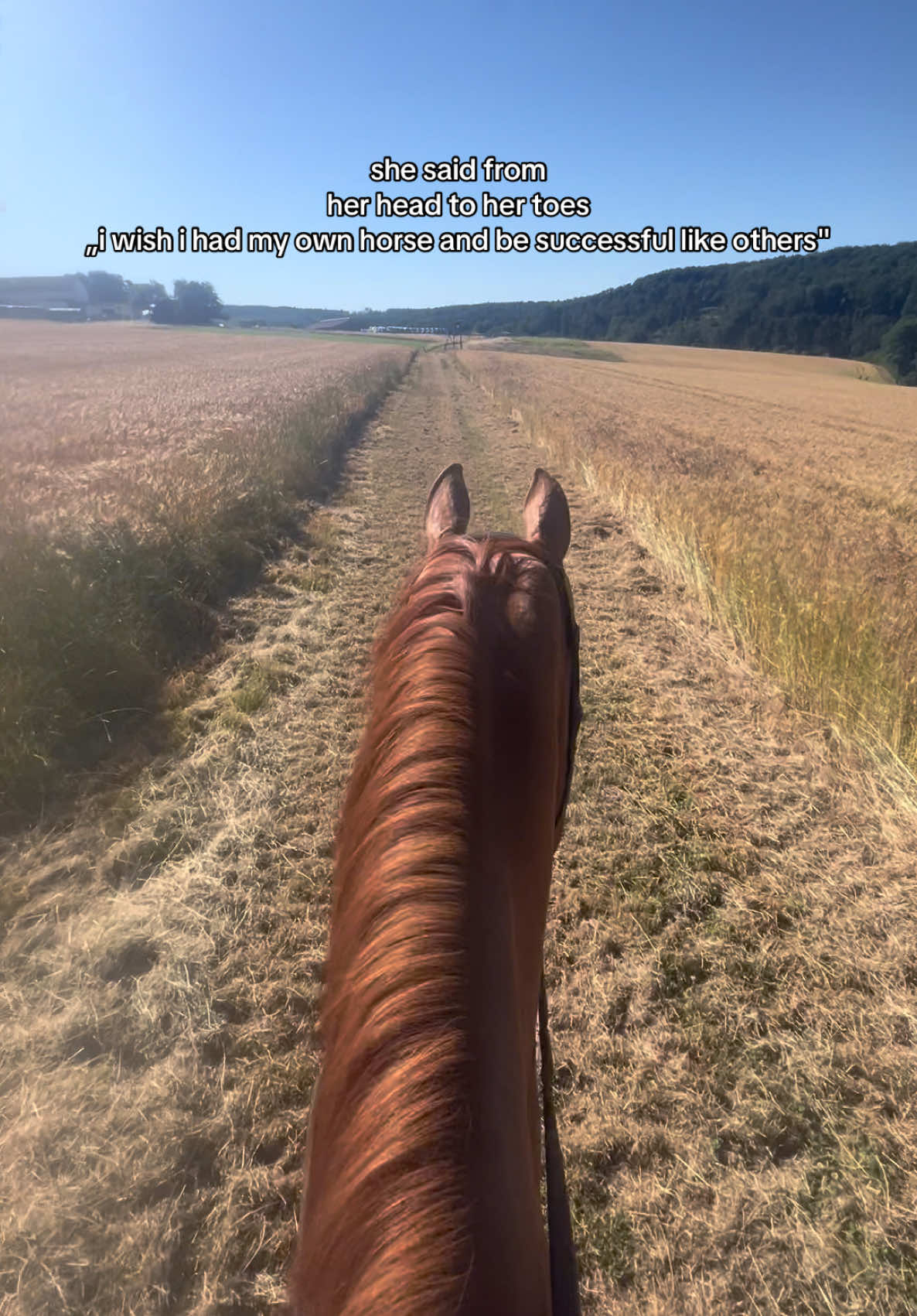 @annalisa.equestrian