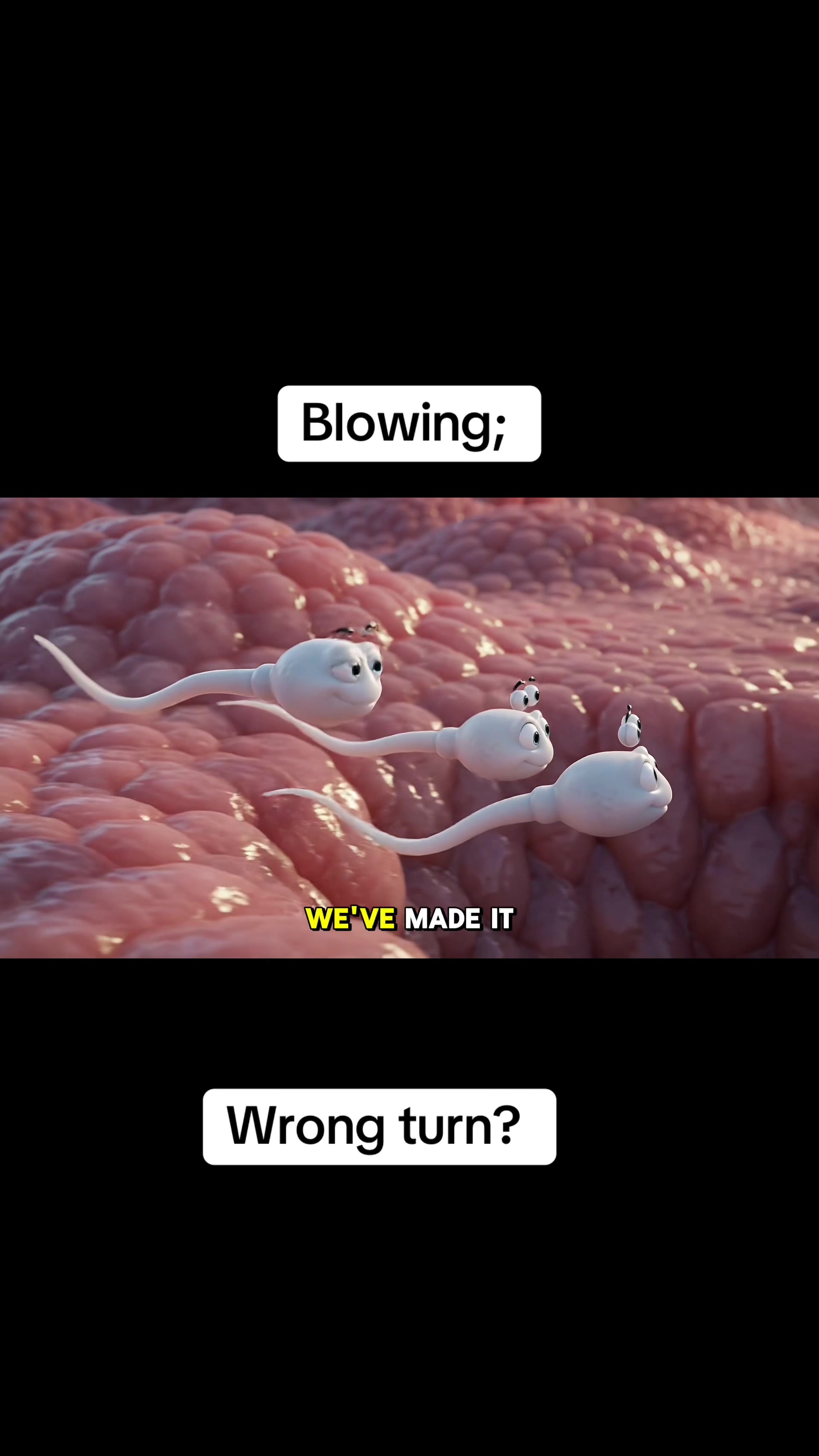 @smartdoctor