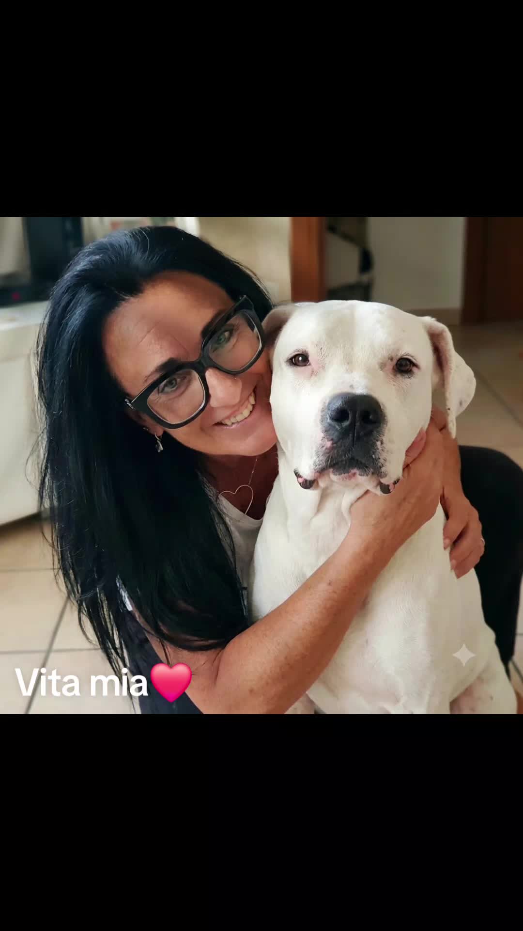@elisabettasilves6