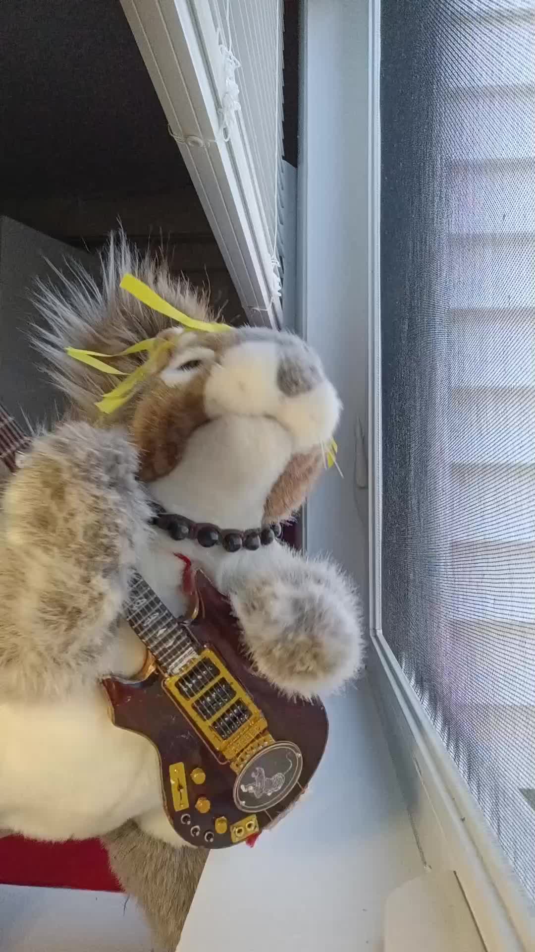 @Charles_TheSquirrel