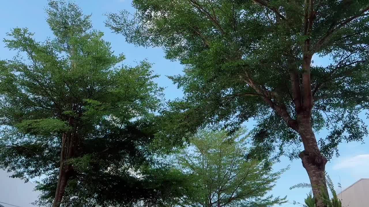 @A piece of green