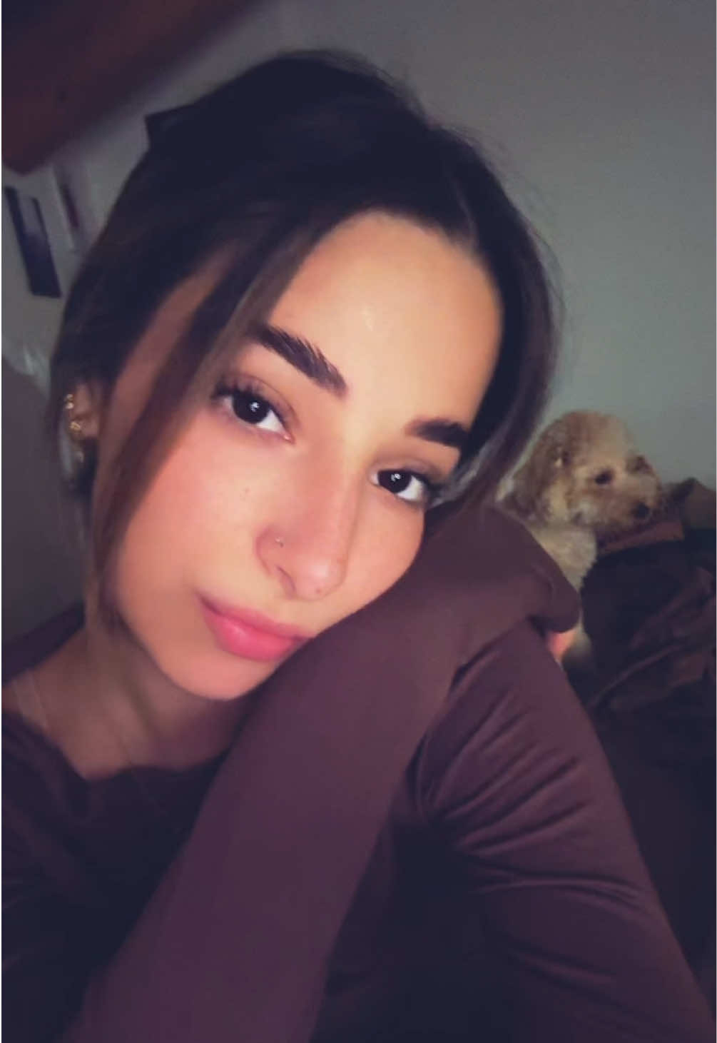 @contrario_di_siri