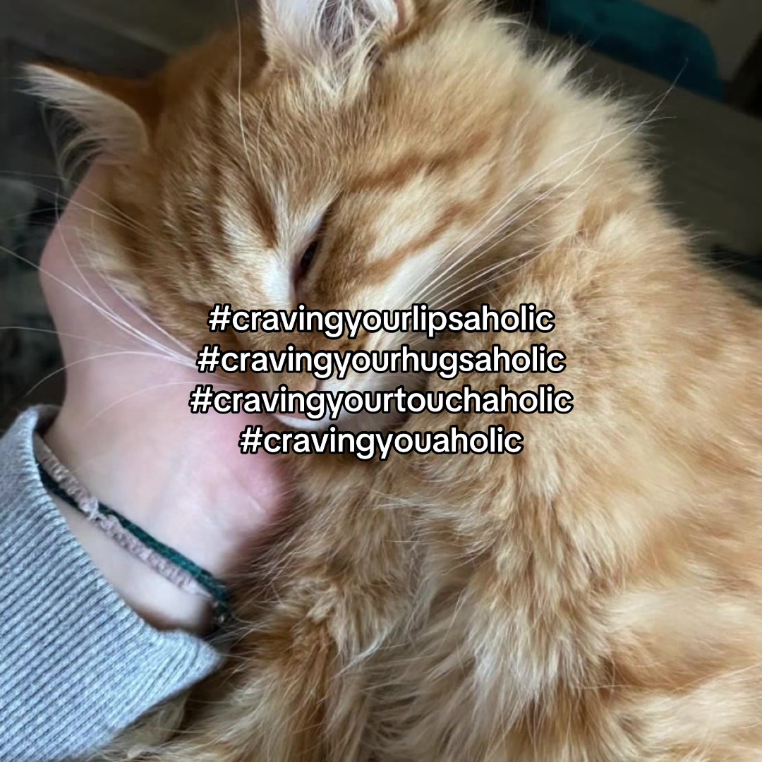 @Alice.cattok