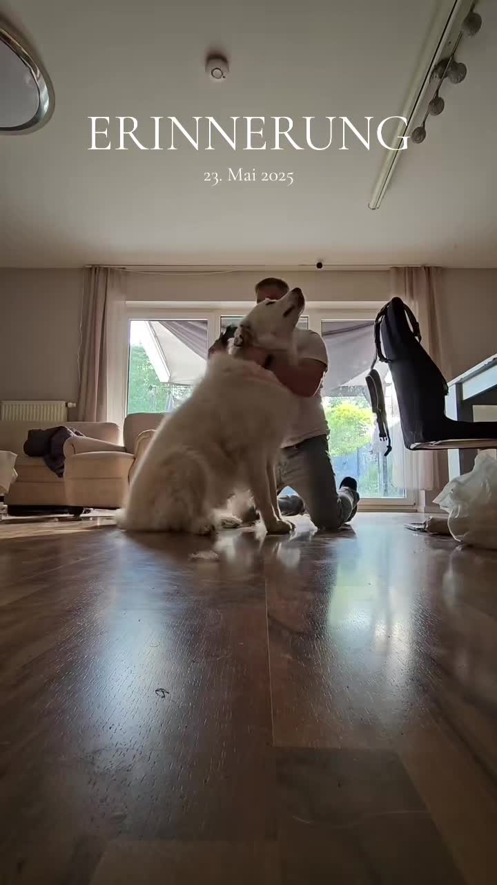 @Cooper😍and😍 I 🐕🏃♂️🫶🏻