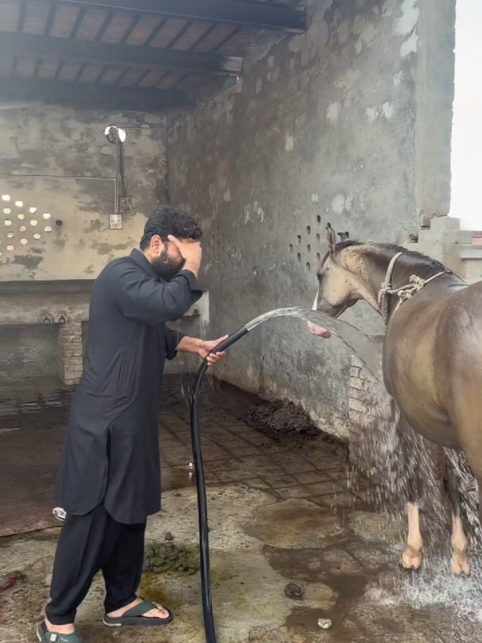 @Sardar Shazaib kha