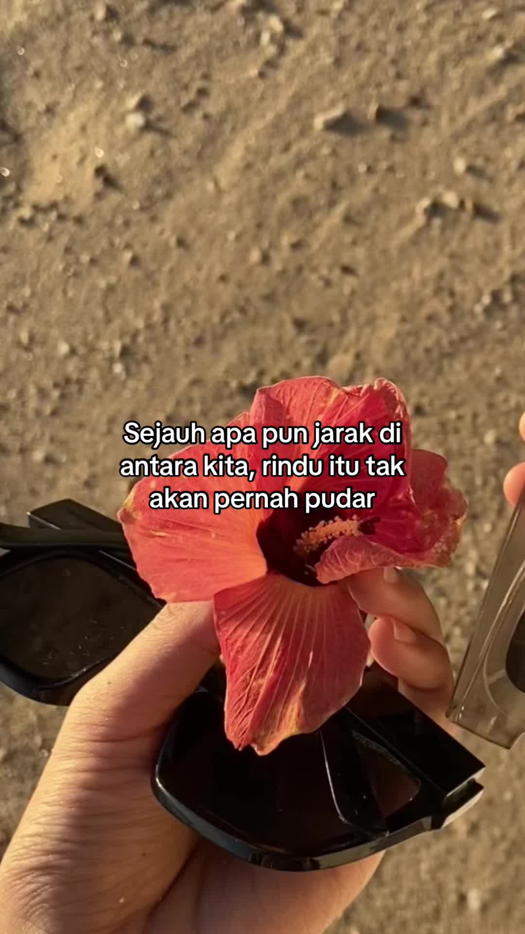 @Marmud