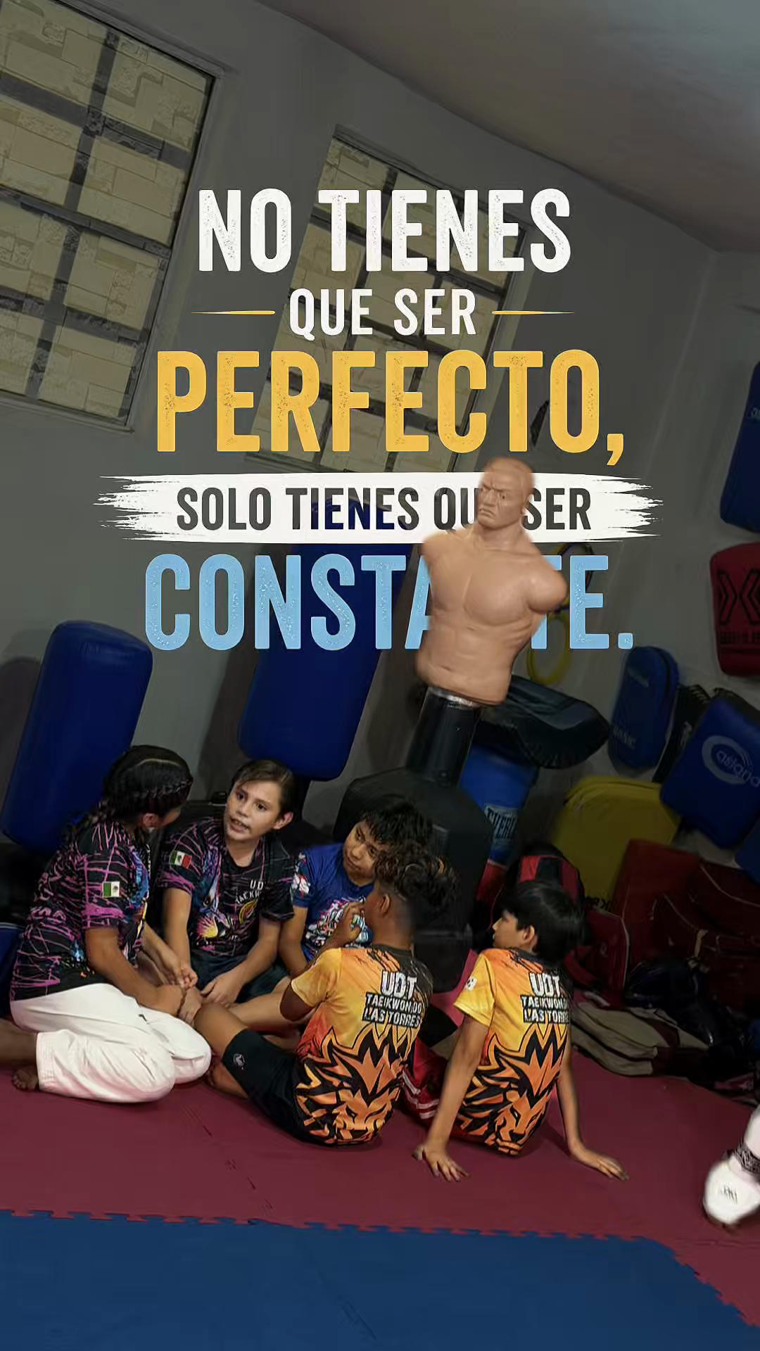 @taekwondolionsteam