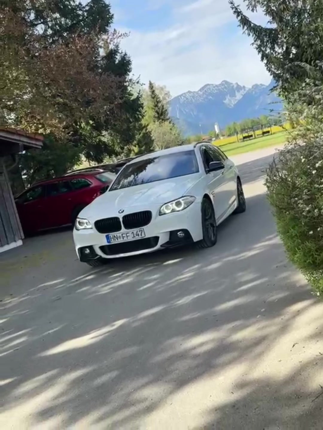@FFlorin147